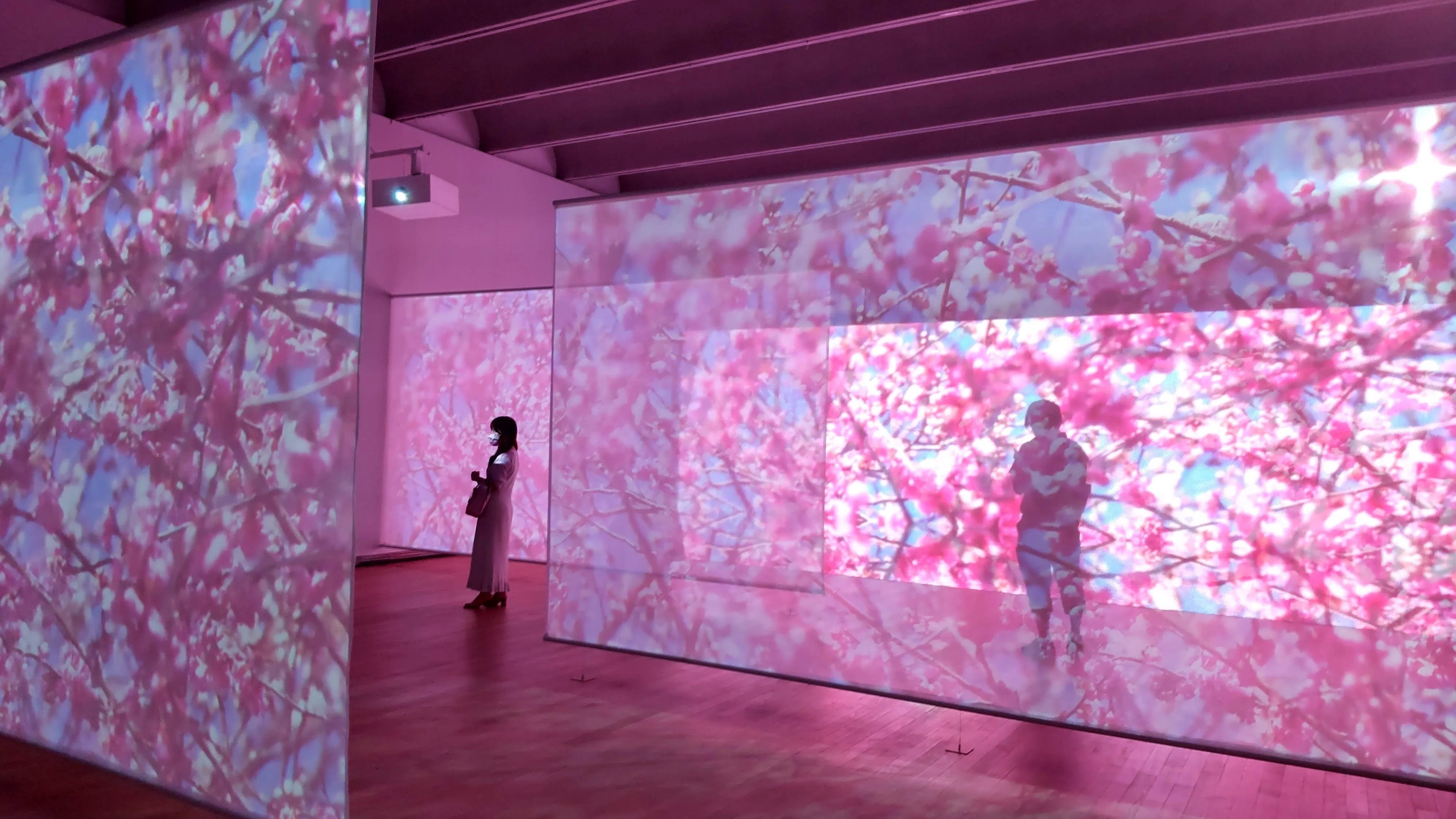 古民家を色鮮やかにジャックする～展覧会「蜷川実花 mirror mirror