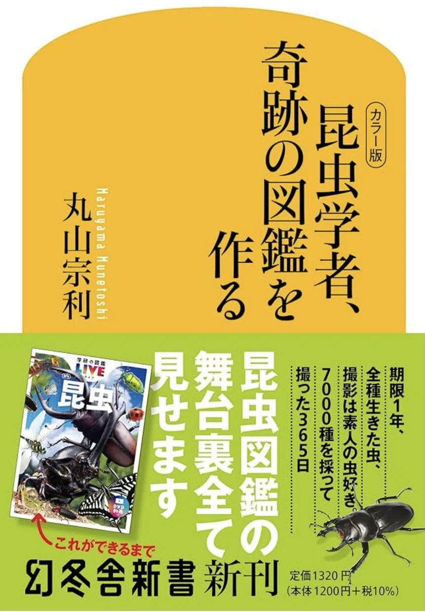 虫より虫好き人間の生態に興味がある｜カンナ