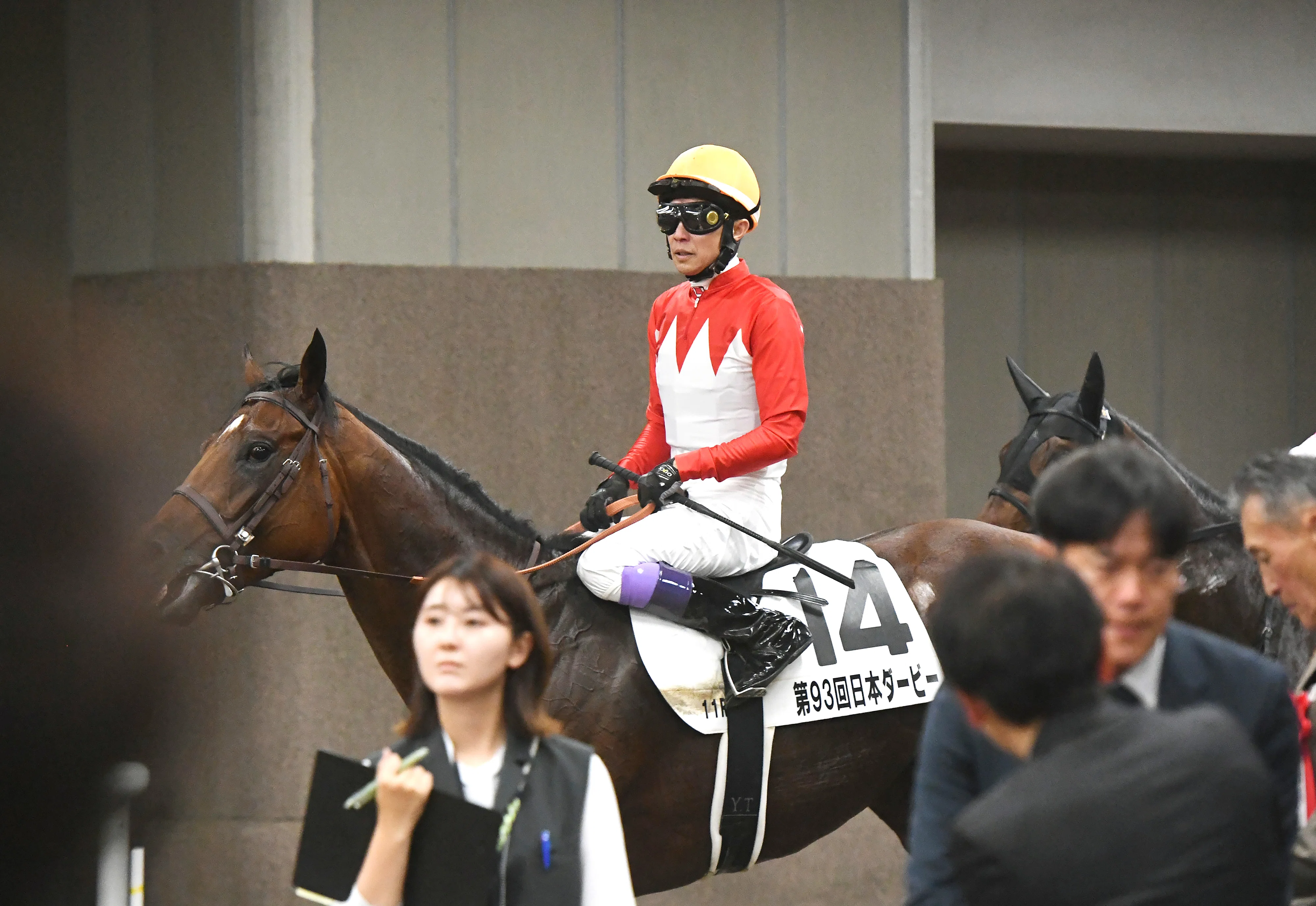 日本ダービー】全頭フィードバック（板津）｜サンスポレース