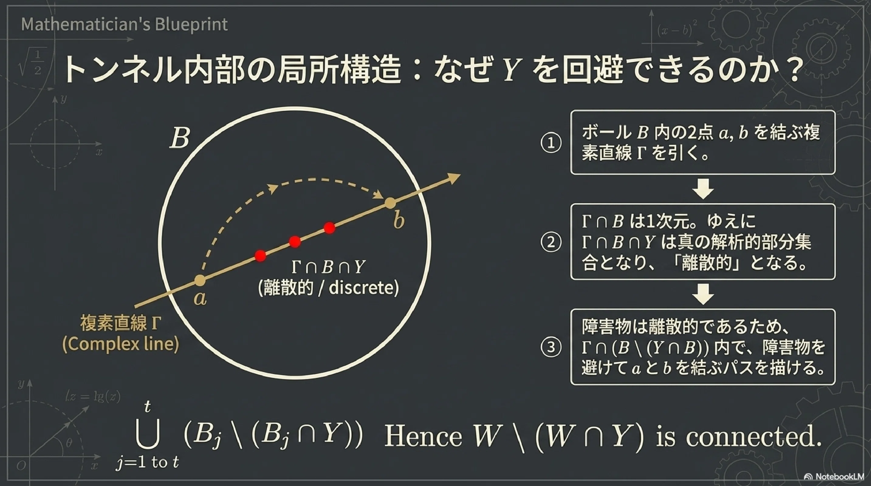 多変数複素解析における解析的集合の解剖学｜ari1110