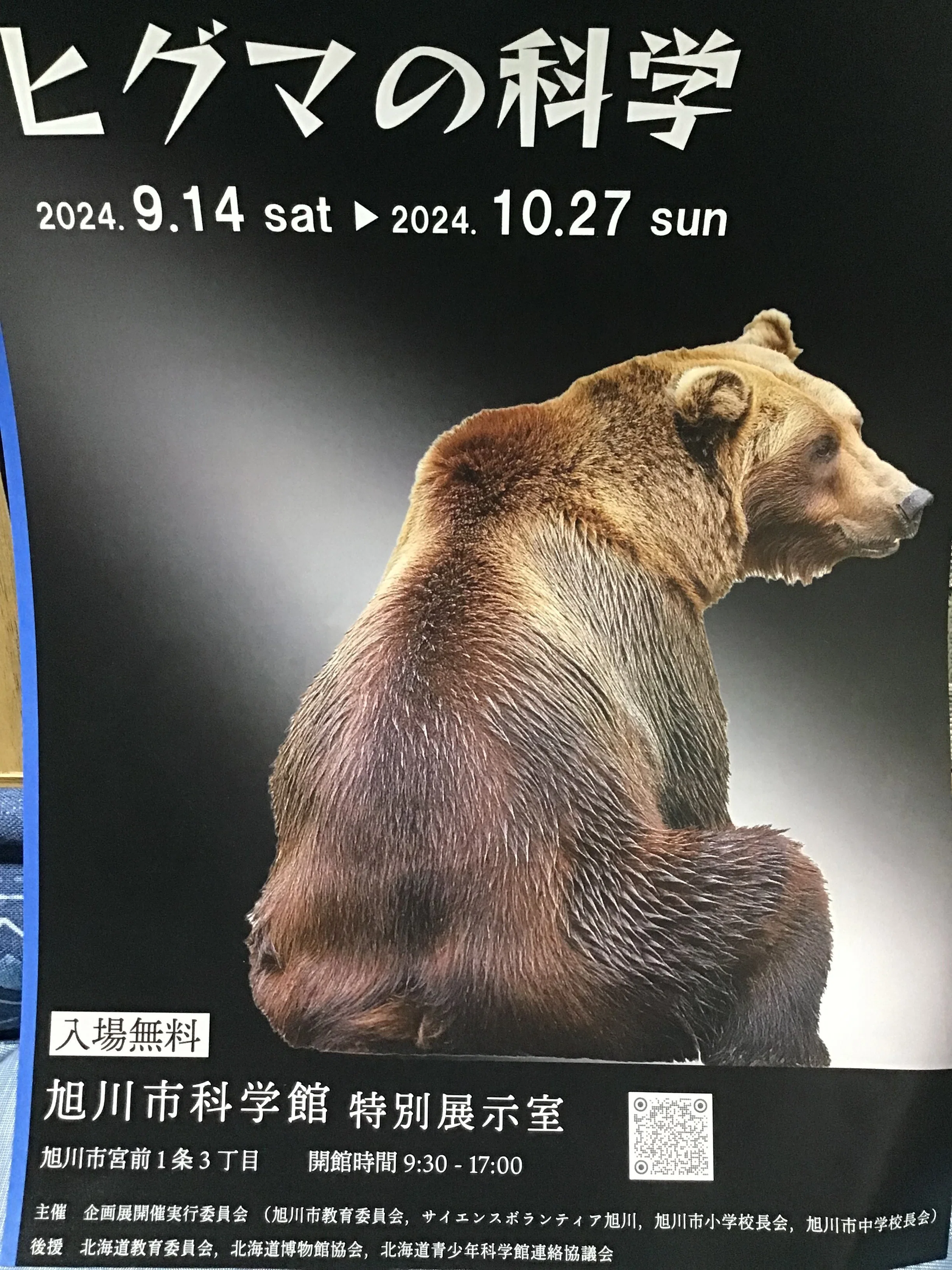 羆について考える NO.3 ～羆について学ぶ～｜品川さゆ〜北海道を考える〜