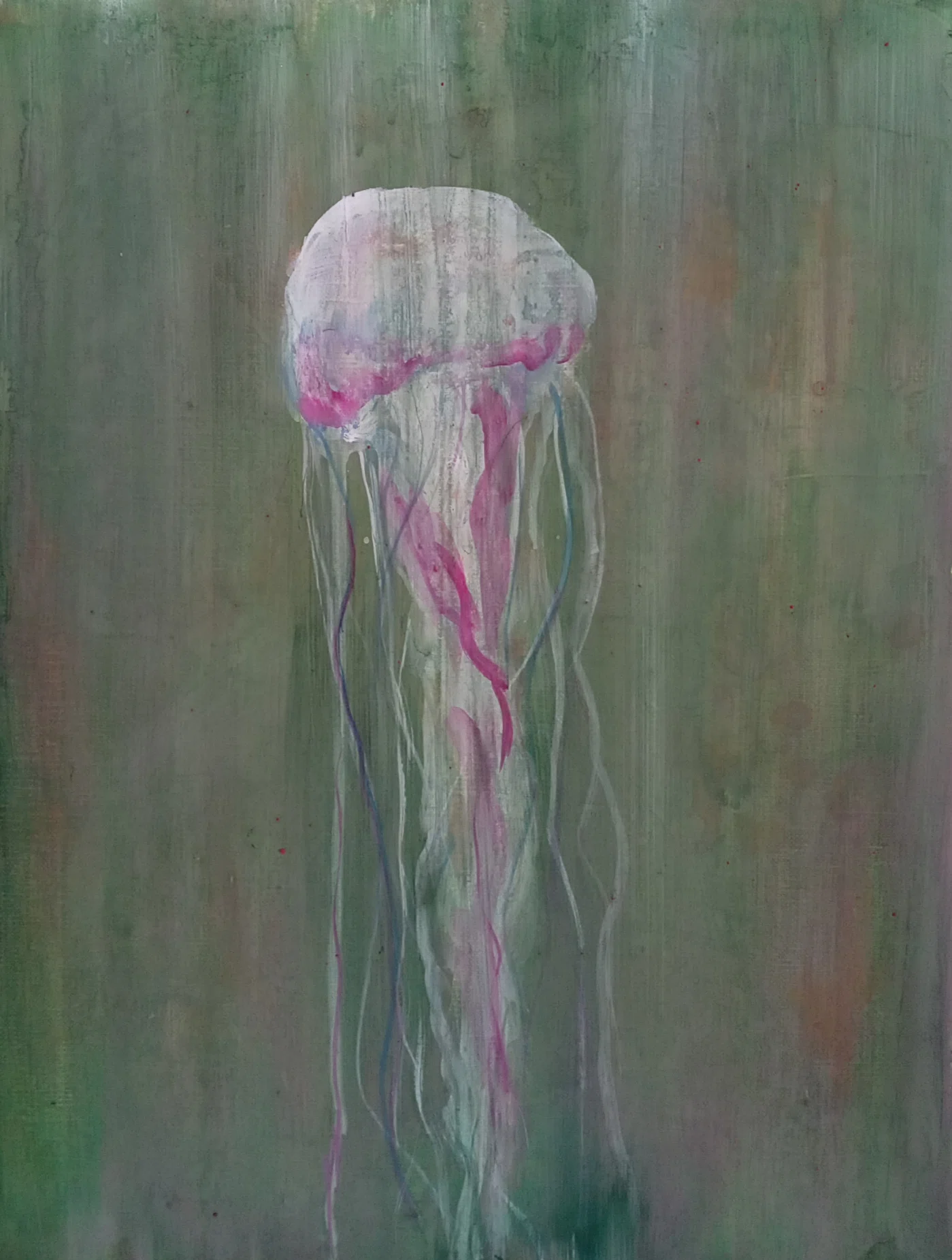 絵画 kurage クラゲ 絵画 リアル クラゲ絵画 アマクサクラゲ