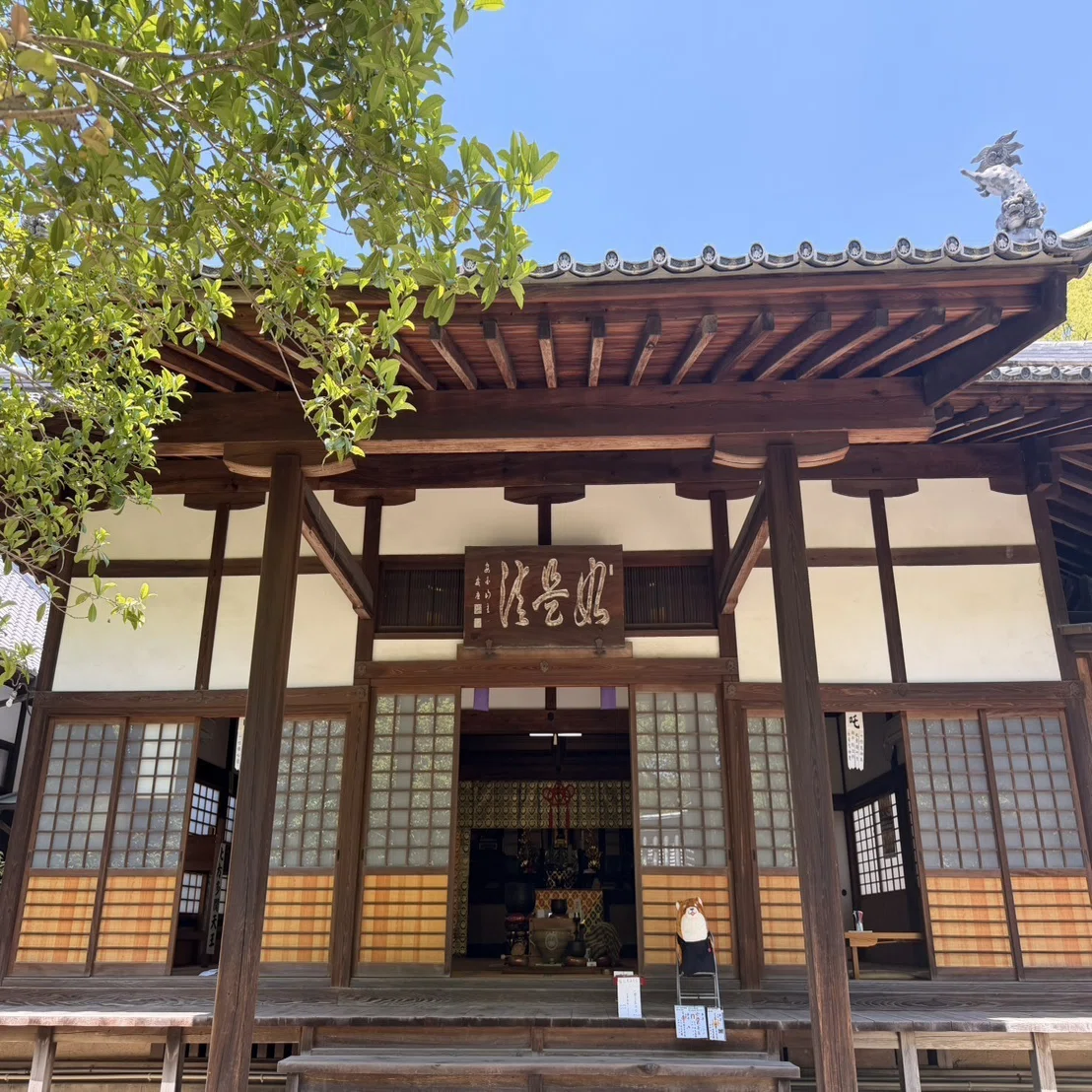 福岡の金運パワースポット最強4選！本物の金銀が出土した禅寺から数億 