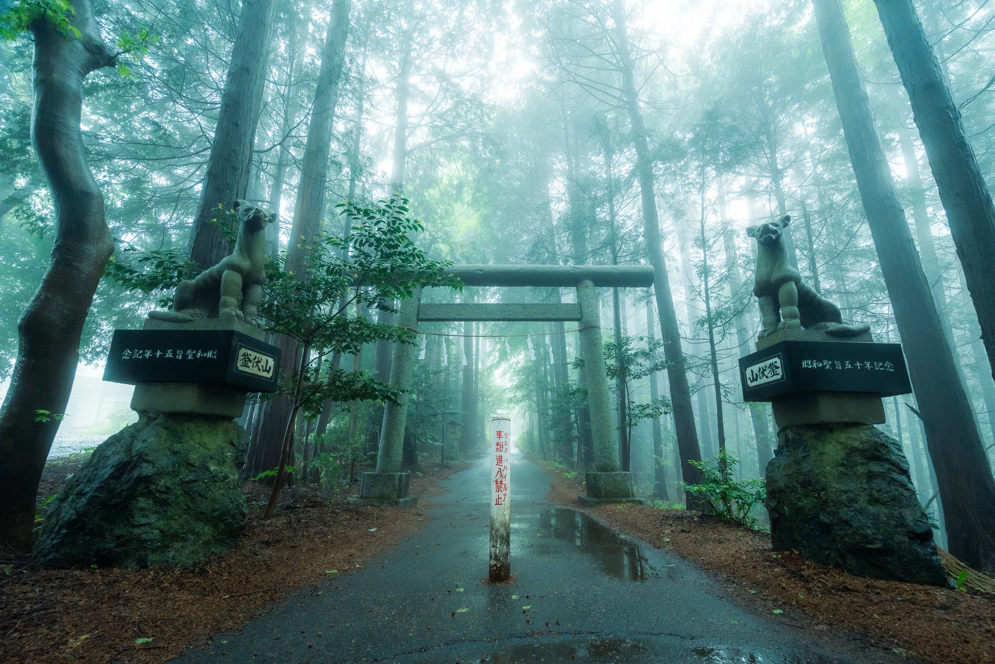 雨」とシティプロモーション｜寄居まちづくりNOTE