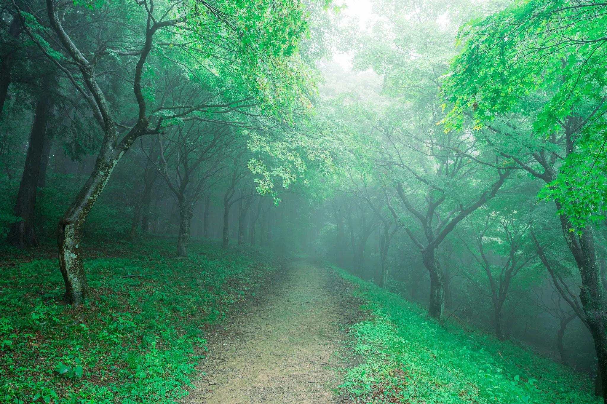 雨」とシティプロモーション｜寄居まちづくりNOTE