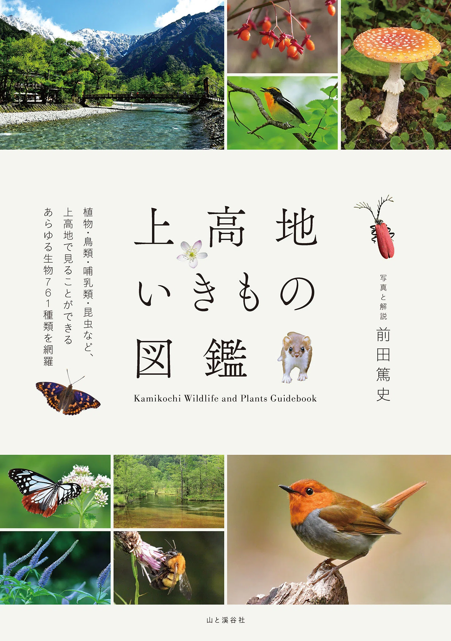 新刊のご案内【2026年6月発売】『ヤマケイ文庫 山怪 朱』など10冊