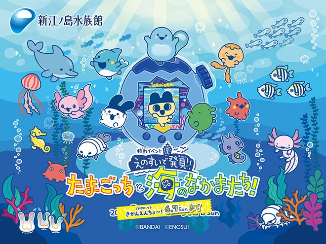 開催レポート】『えのすいで発見!!たまごっちと海のなかまたち
