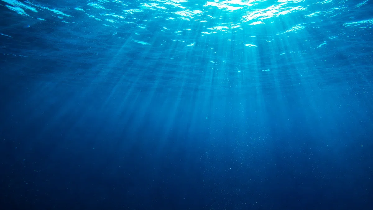 海中から見上げる空の光
