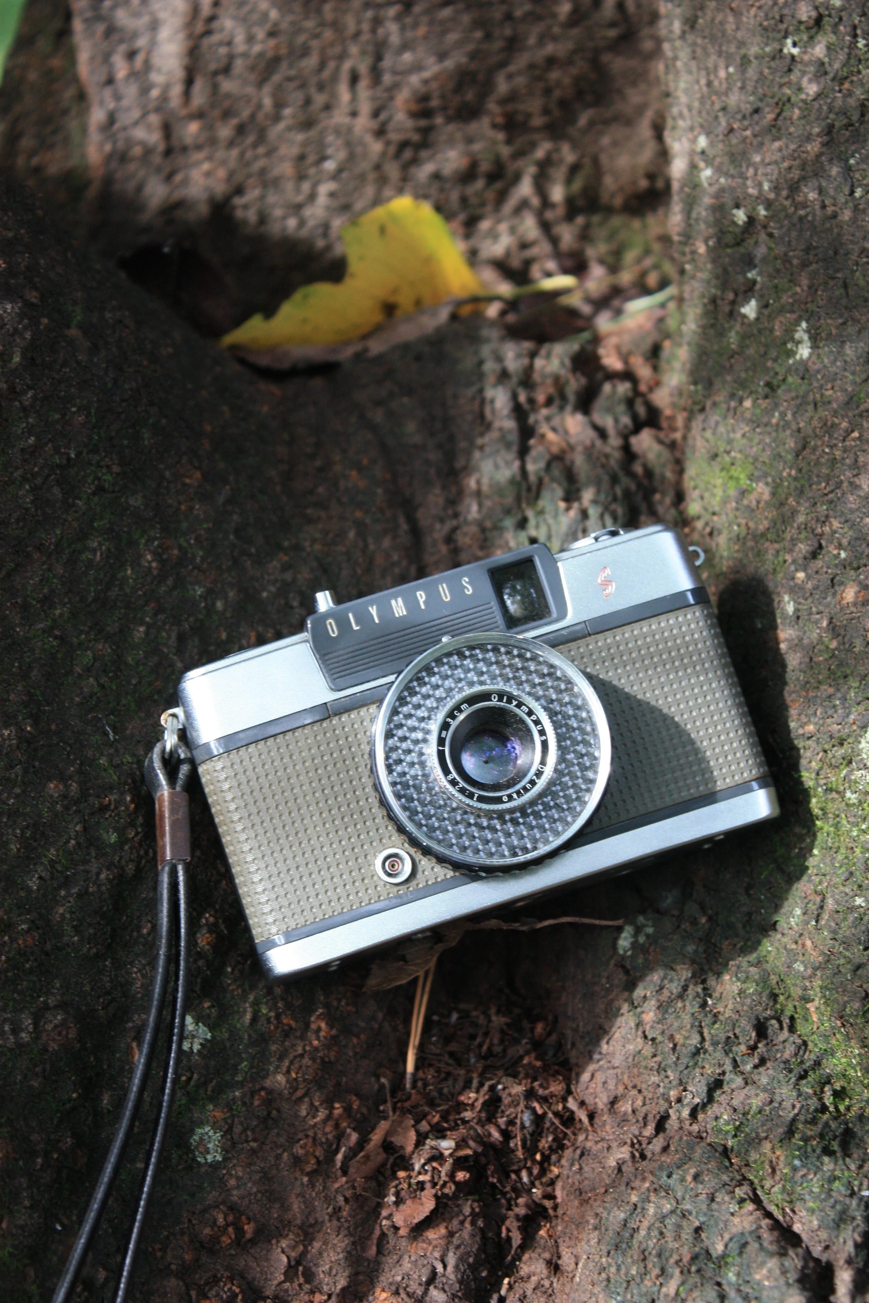 フィルムに収めた記憶 ＃18｜tomitomi_otomi