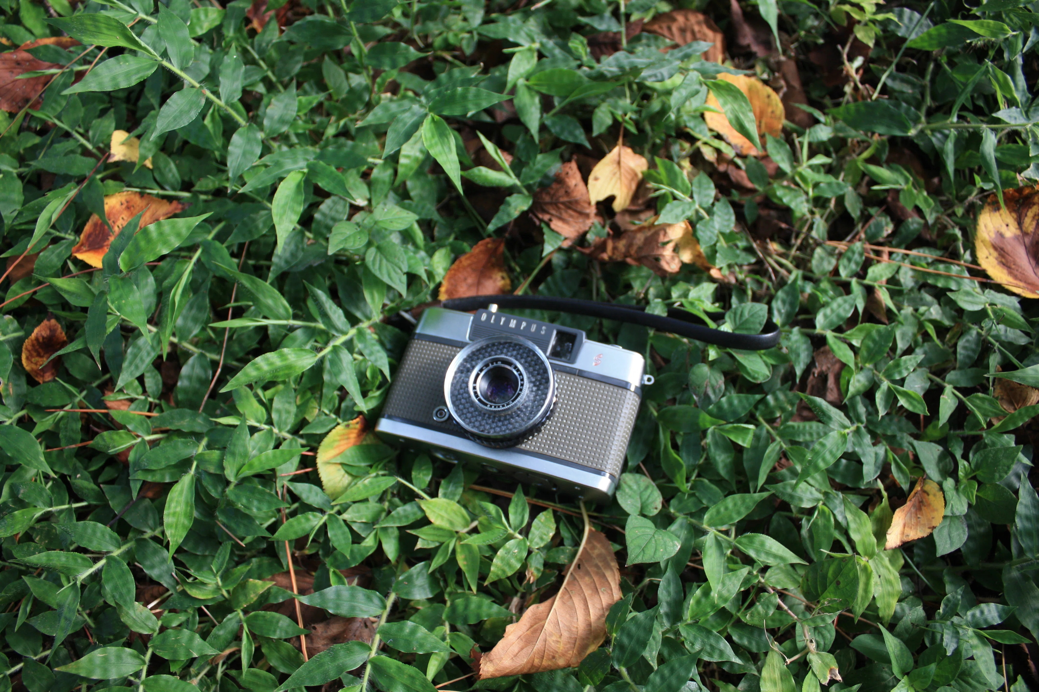 フィルムに収めた記憶 ＃18｜tomitomi_otomi