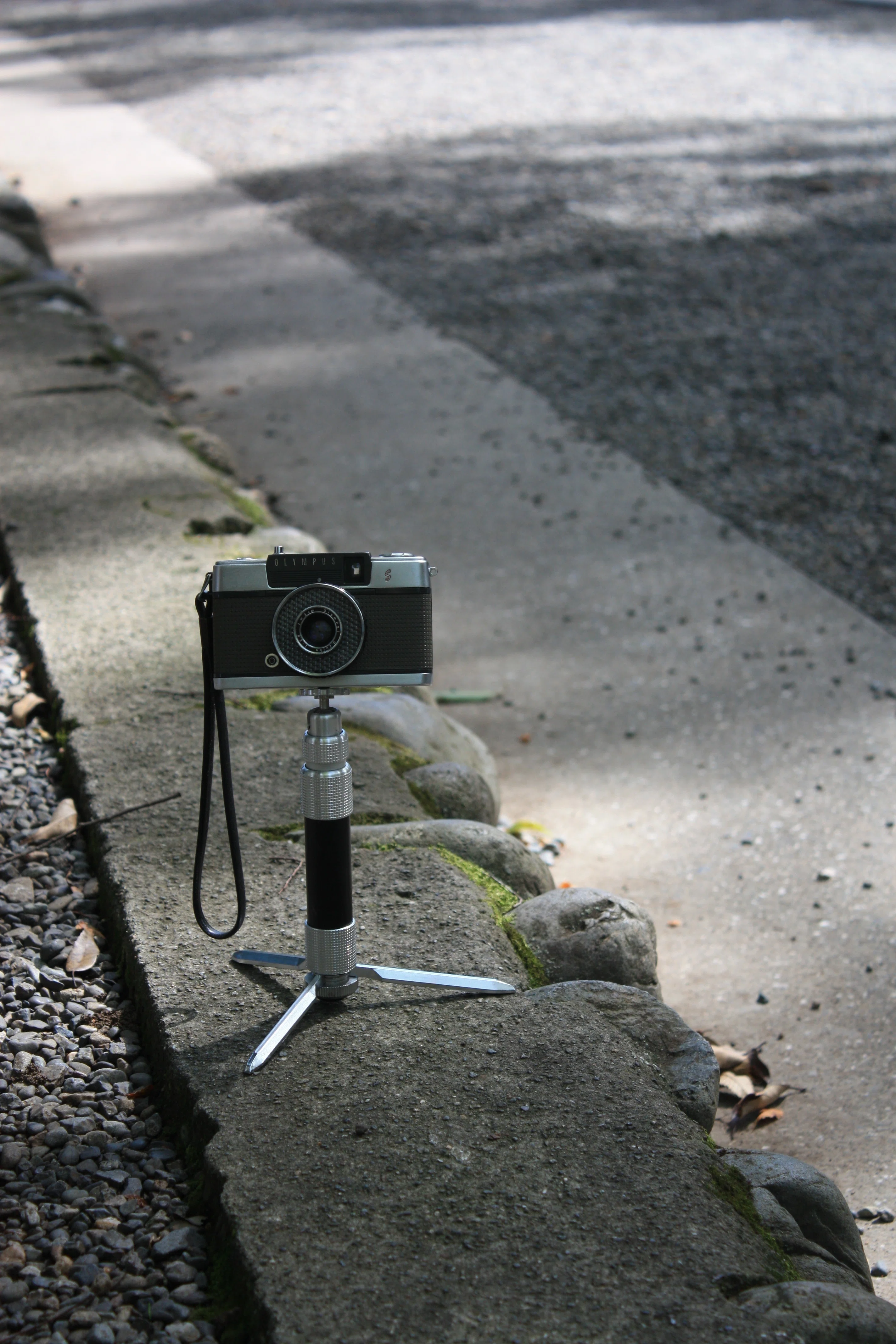 フィルムに収めた記憶 ＃18｜tomitomi_otomi