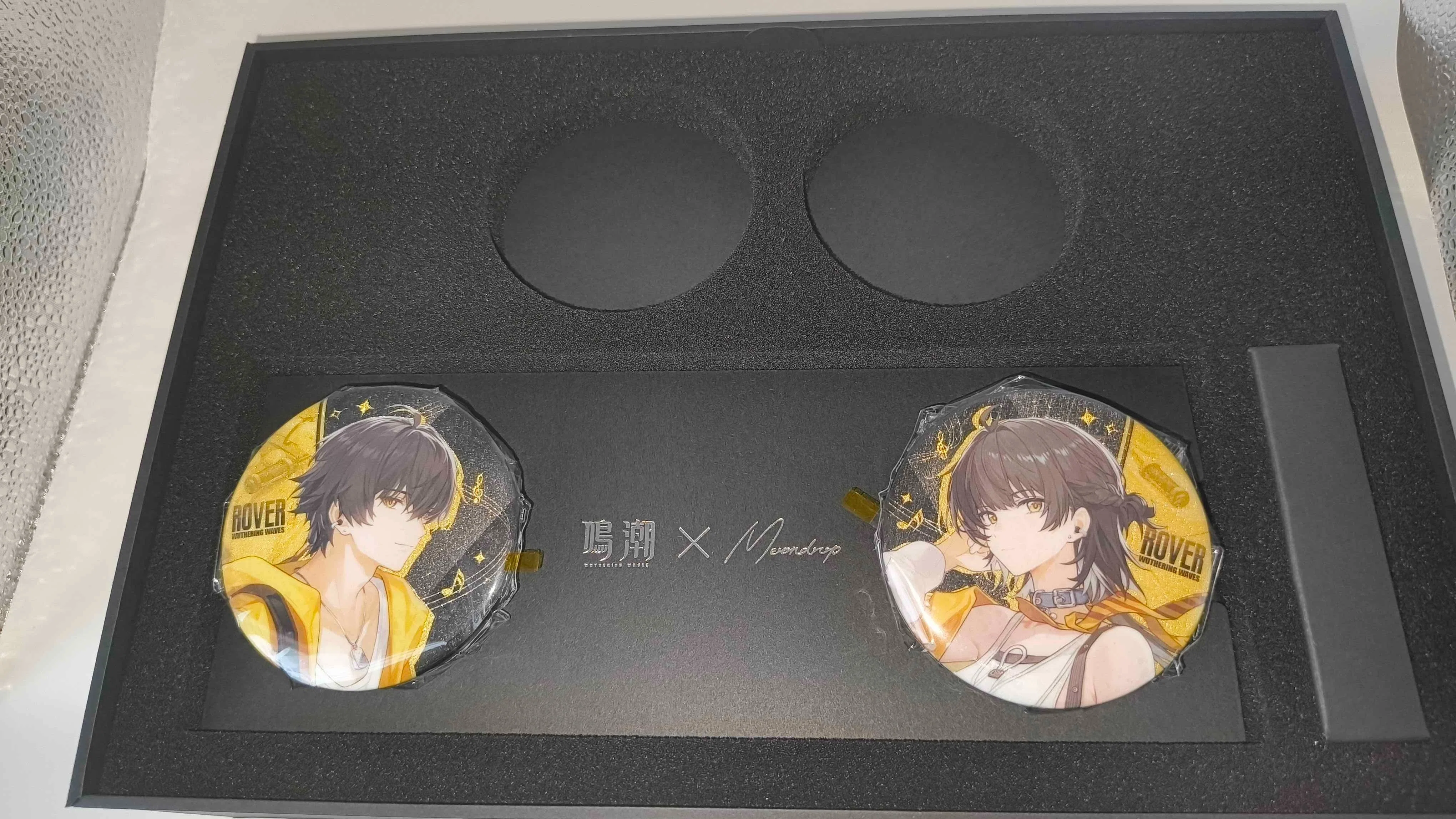 □鳴潮イヤホン｜実機レビュー｜水月雨 Moondrop × 鳴潮 U.C.T.S.