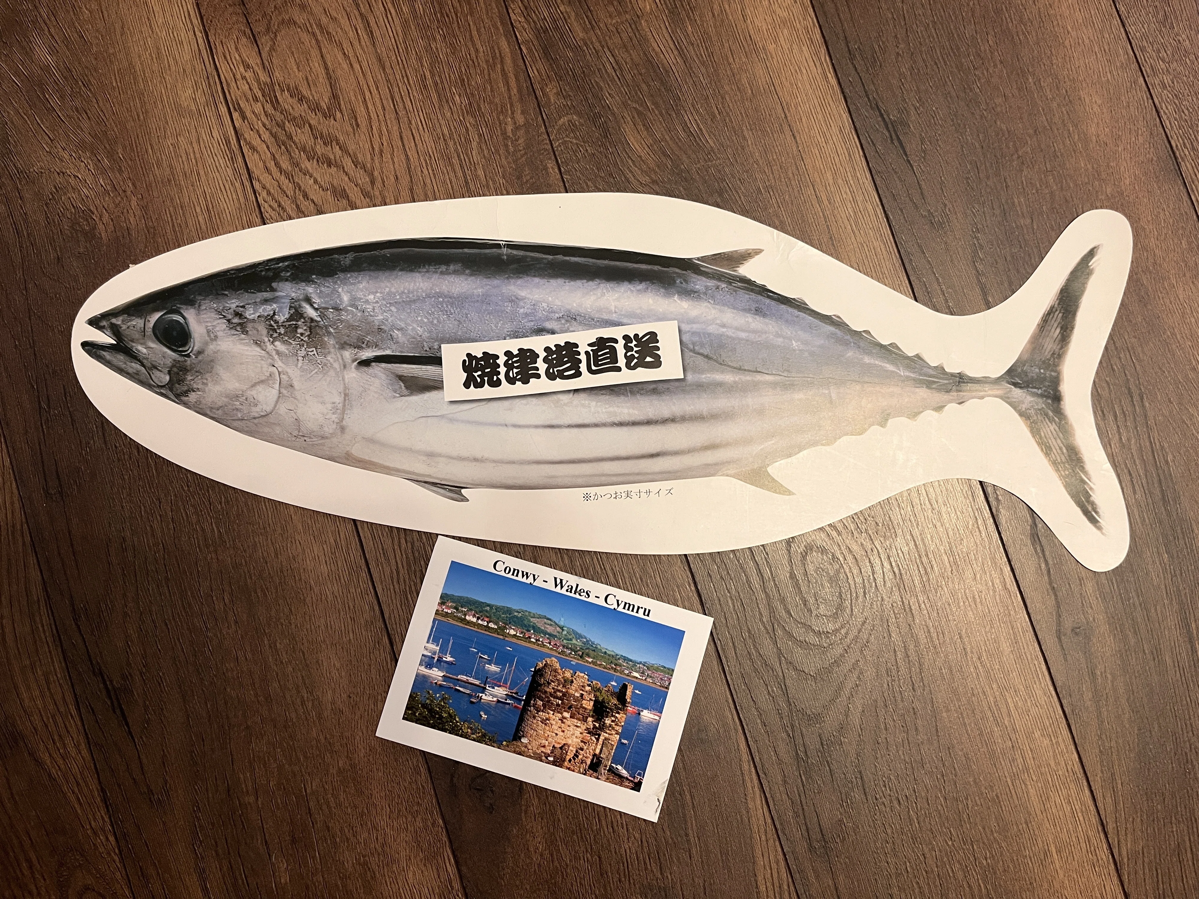 旅先の変わったポストカードの巻📮｜Teddy Matsushiba