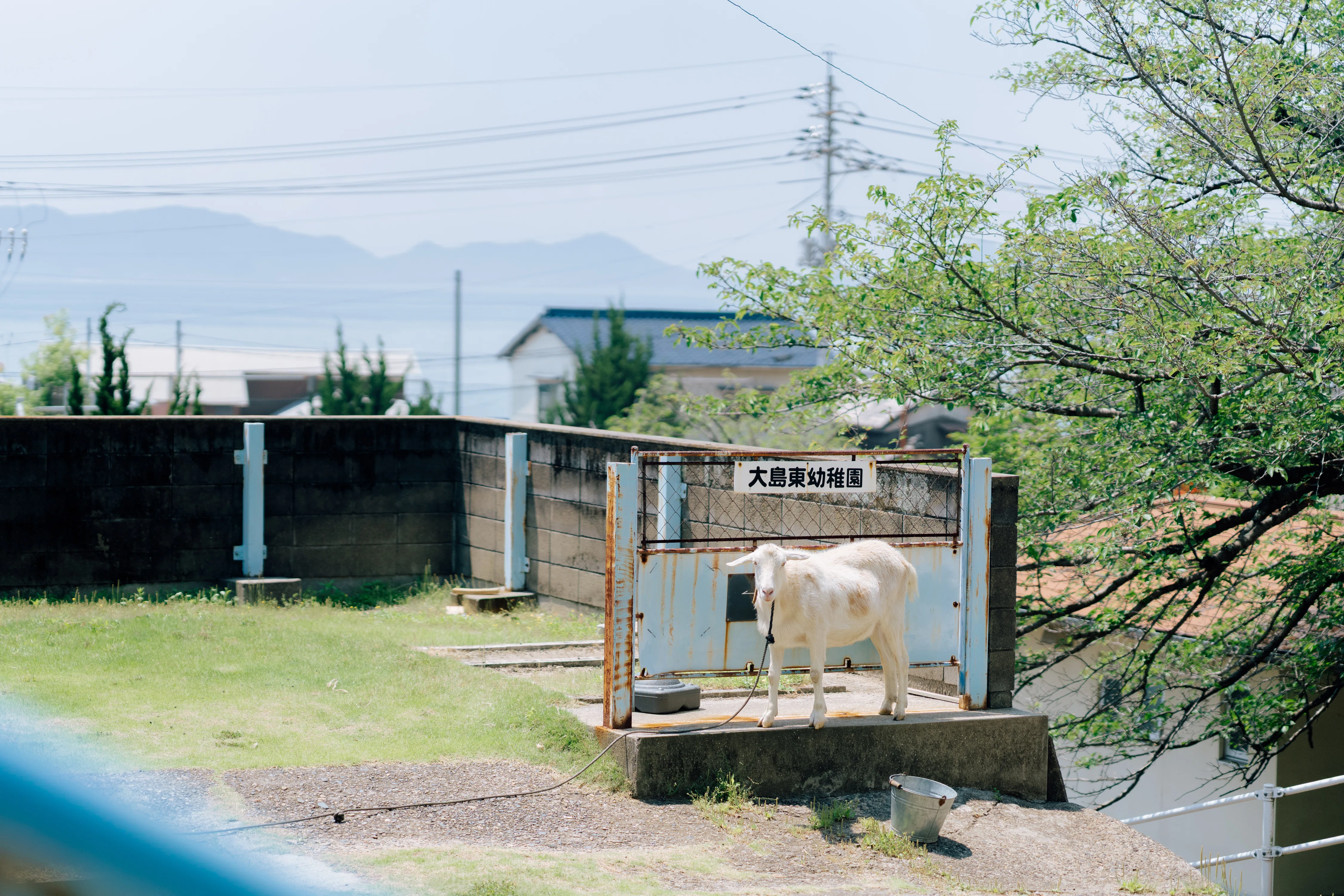 目の前の海を撮っていなかった｜頑張り方を変えた話｜aukio｜photographer