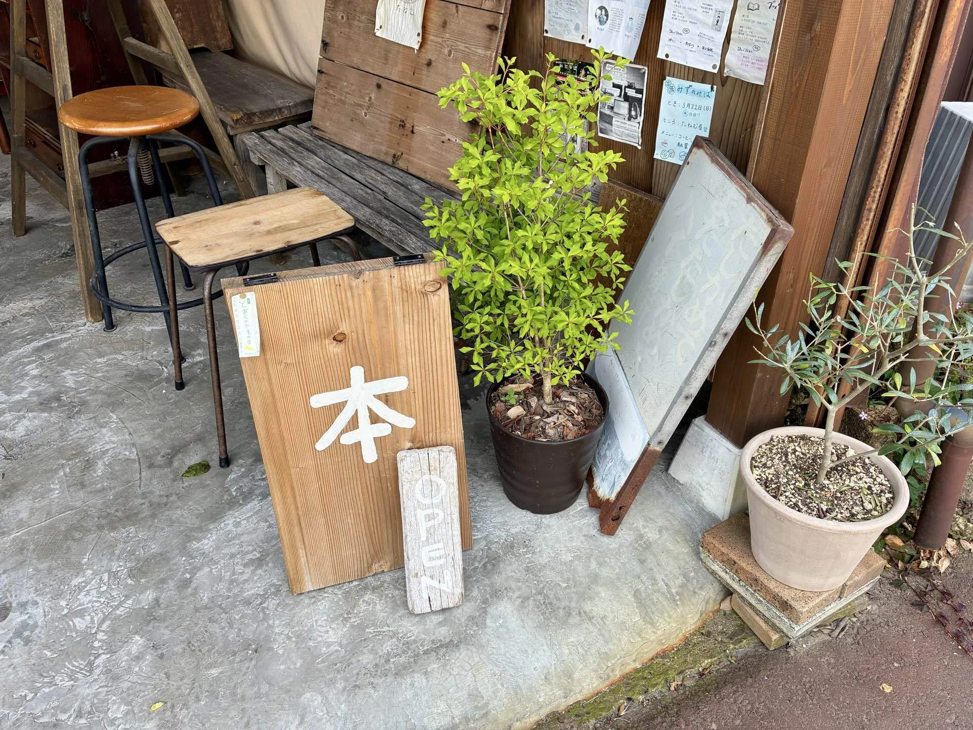 ZINEを買いに本屋へ｜K-no | そんな私
