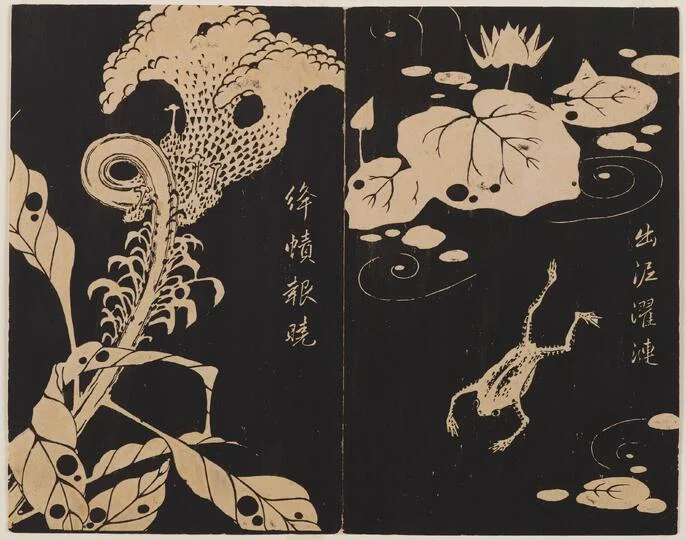 若冲の世紀 | 十八世紀日本絵画史研究 佐藤 伊藤若冲 18世紀京都が生ん