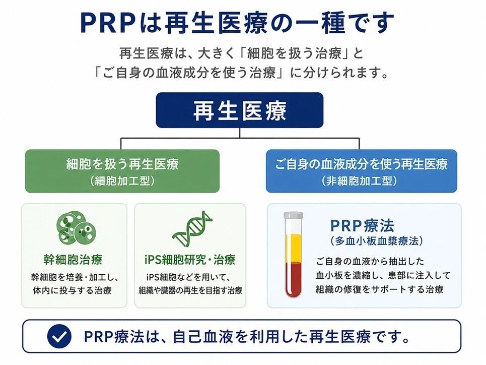 Reflecting on the news of Munetaka Murakami's 'PRP injection for a torn ...