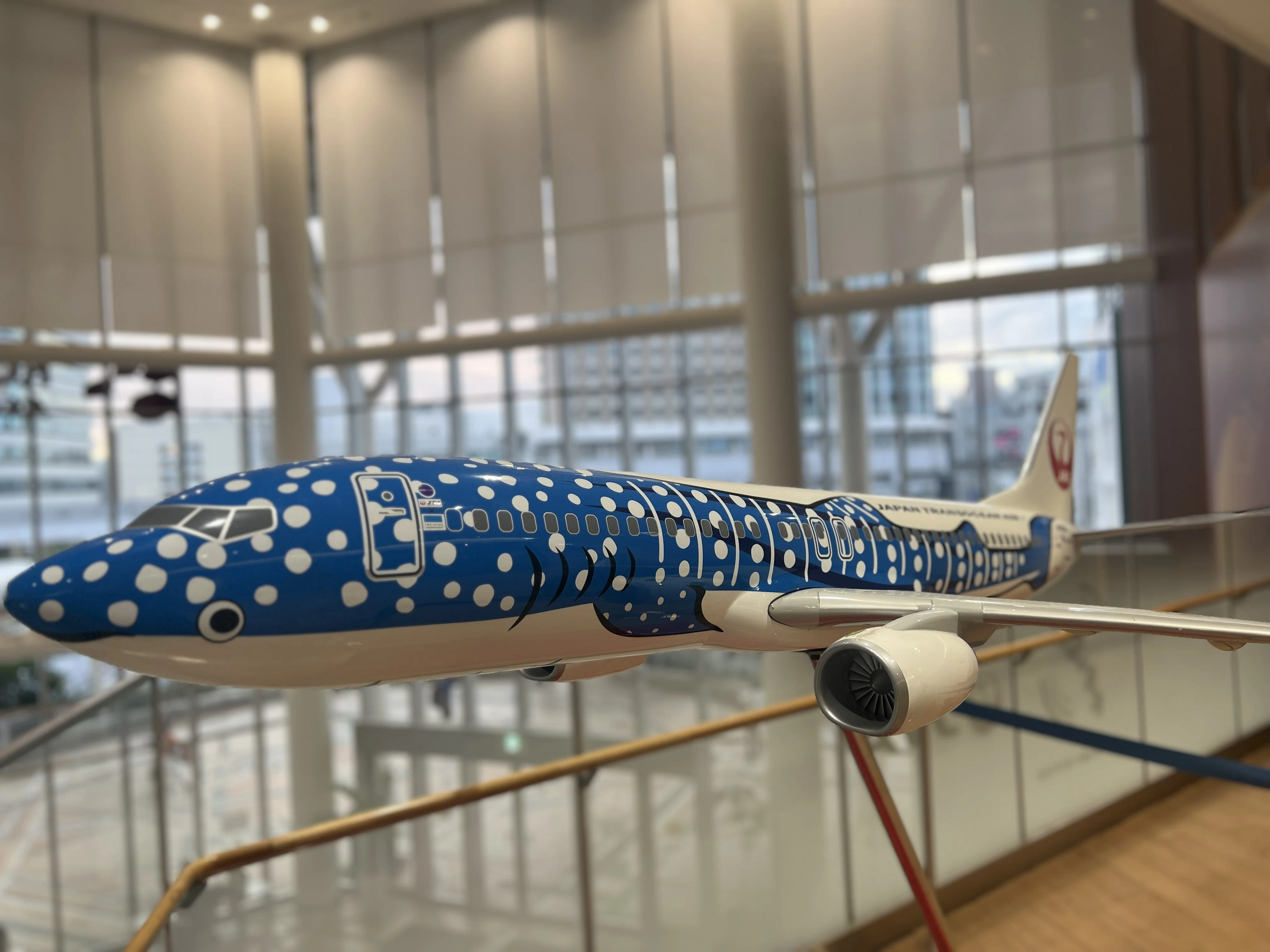 飛行機 2025年7月 JALジンベエジェット 沖縄｜hdj81v