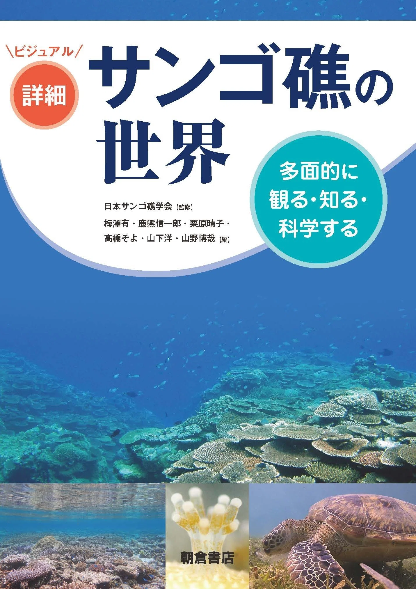6月の新刊紹介｜朝倉書店