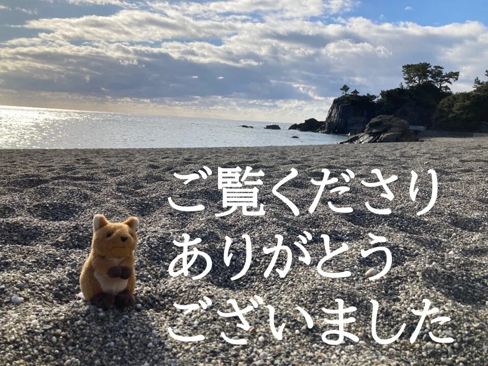 海岸線から少し離れた砂浜から、クオッカのぬいぐるみがお礼を申し上げます。お読みくださり、ありがとうございました。(撮影地・高知県・桂浜)