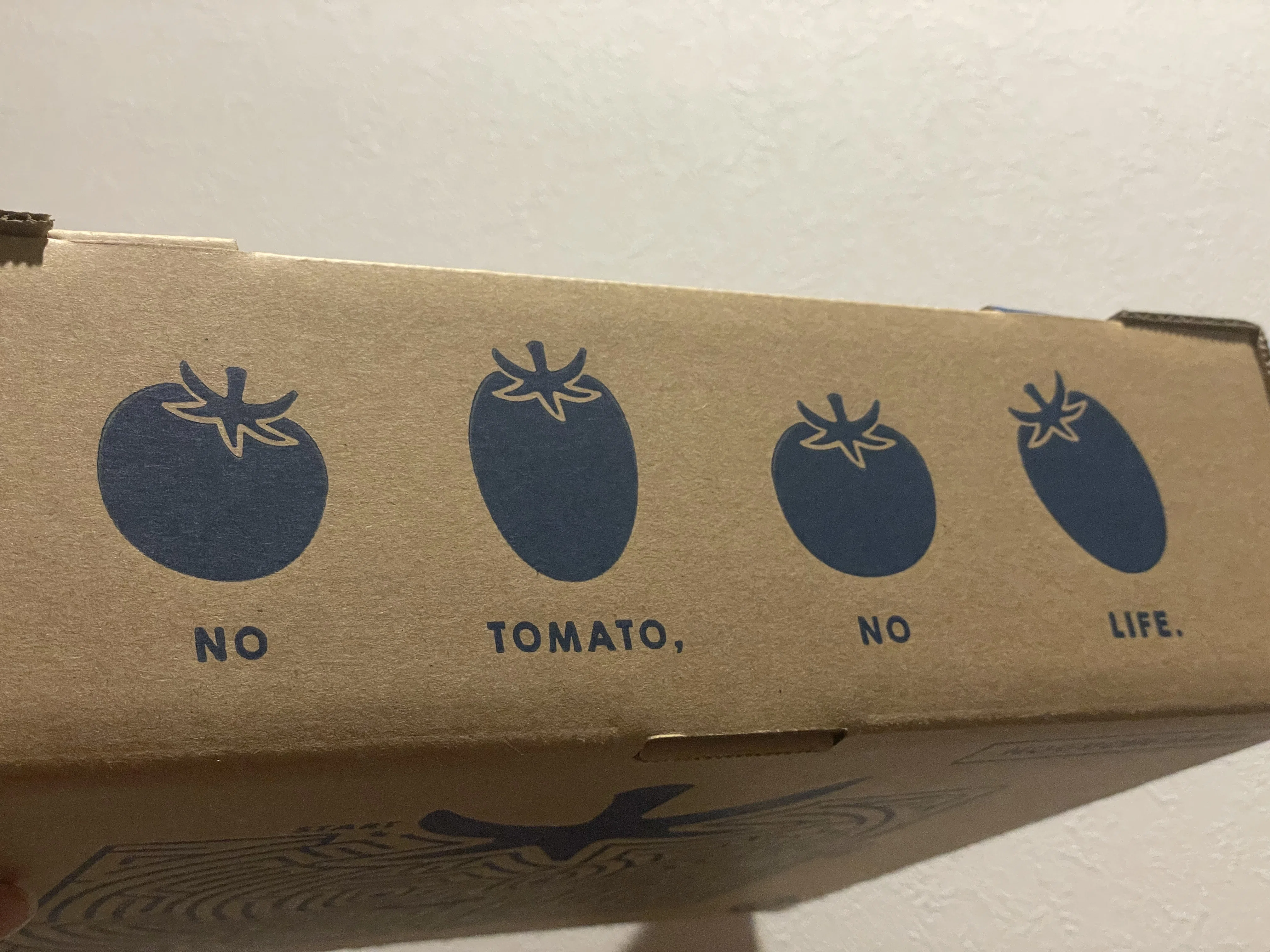 Event Report] Tasting freshly picked tomatoes! We held a user