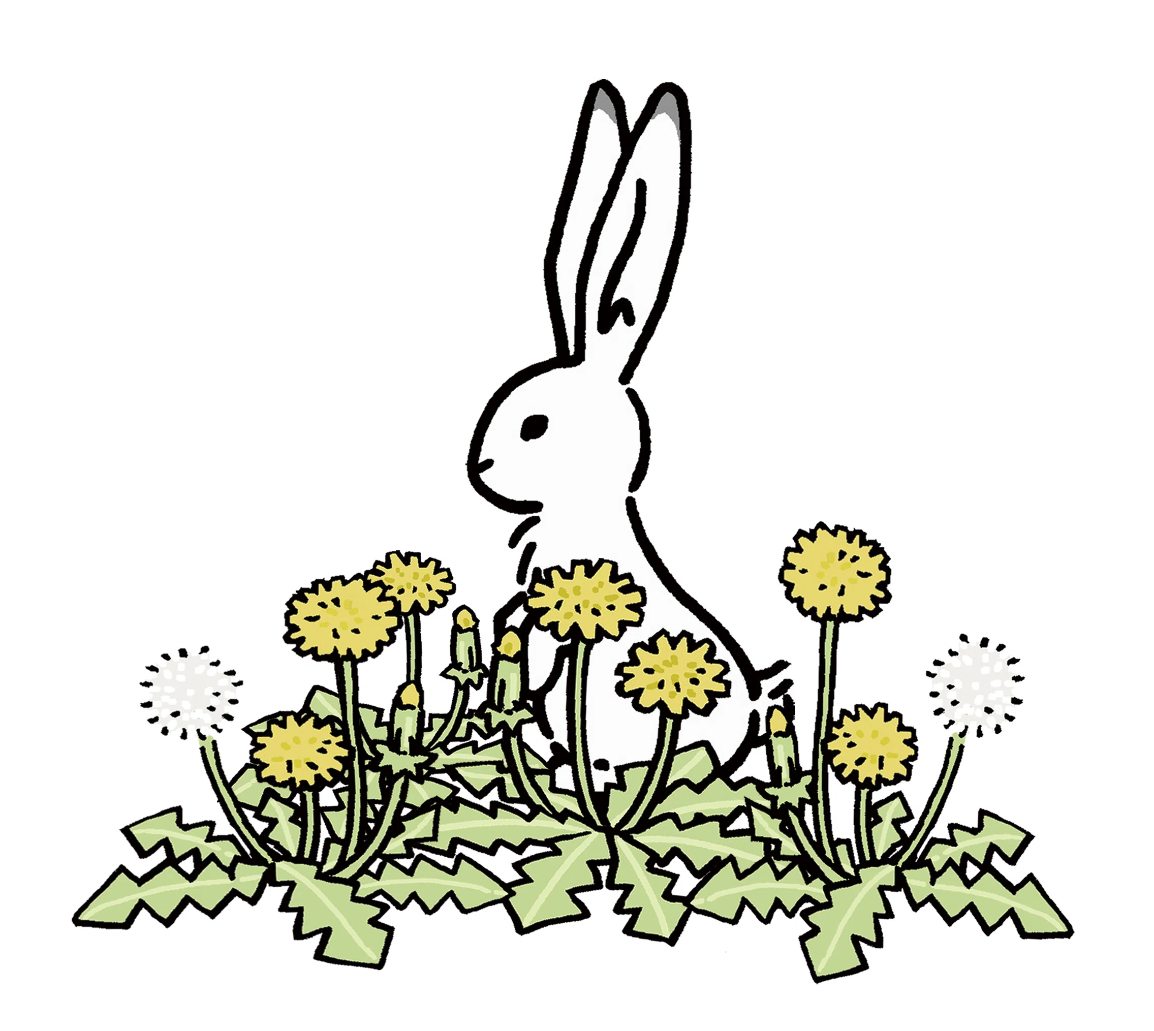 行き場を失ったウサギのイラストが、 人道支援の仕組みにつながった