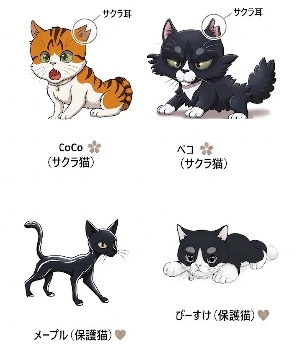 Sakura Cat Season 2｜山下敬