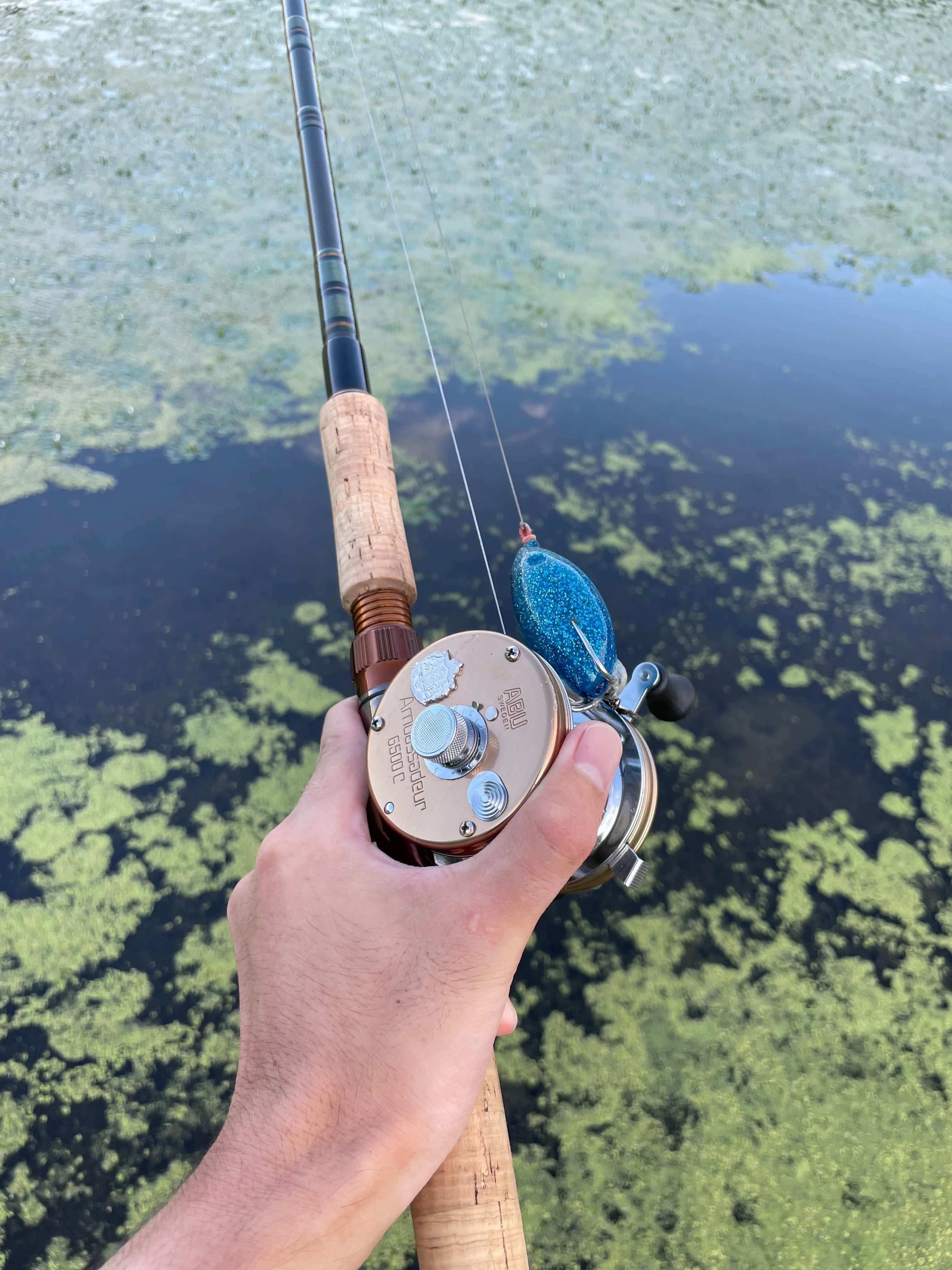 Catching Snakehead Even for Beginners! A Practical Guide to
