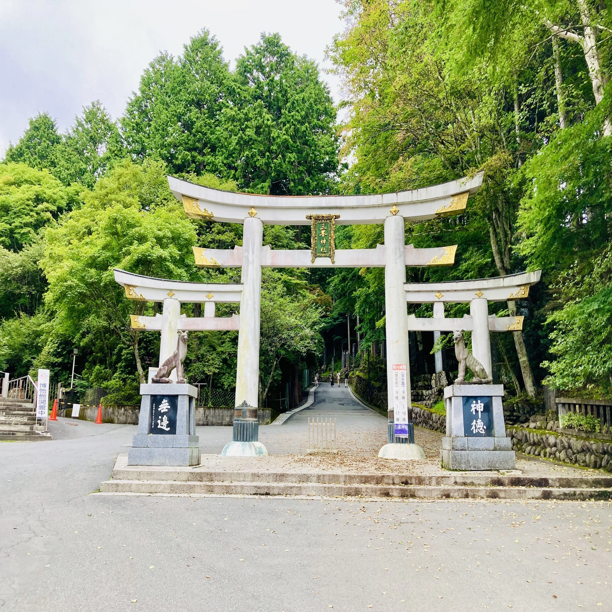 三 峯 神社 好転 反応
