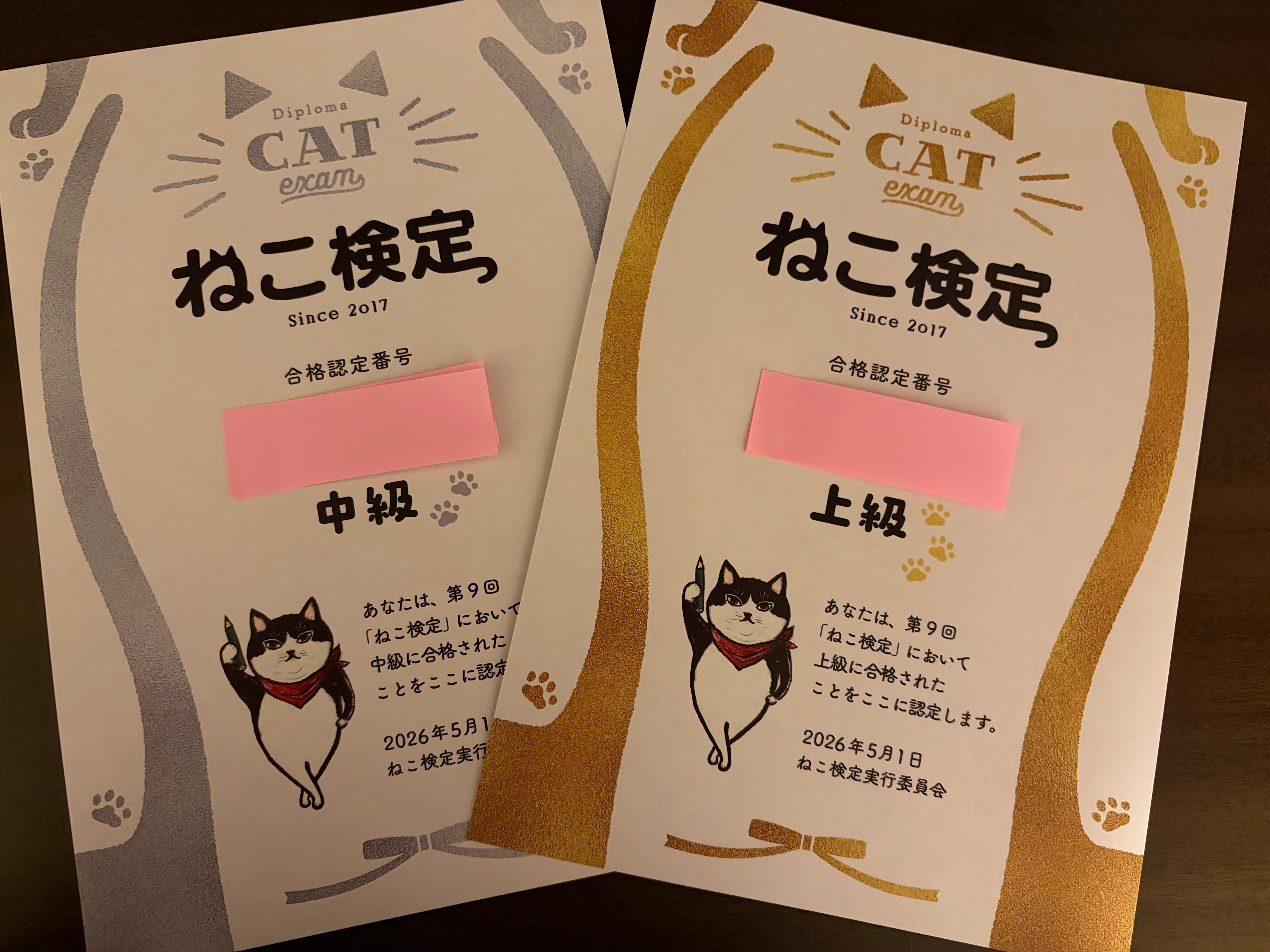 I passed the Neko Kentei (Cat Certification) Intermediate and
