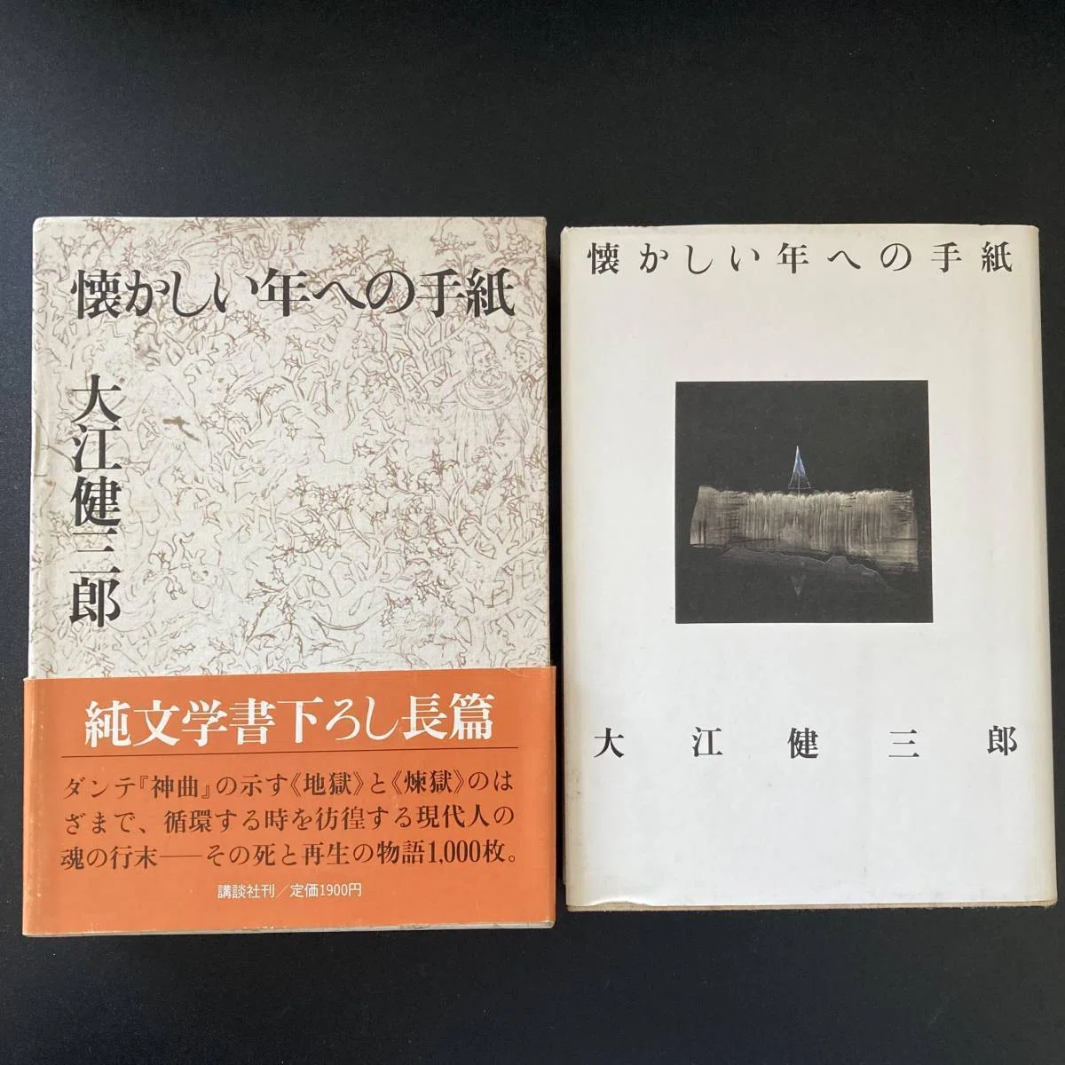 岩波書店 大江健三郎 同時代論集 小説 文学 ノーベル文学賞 全10巻
