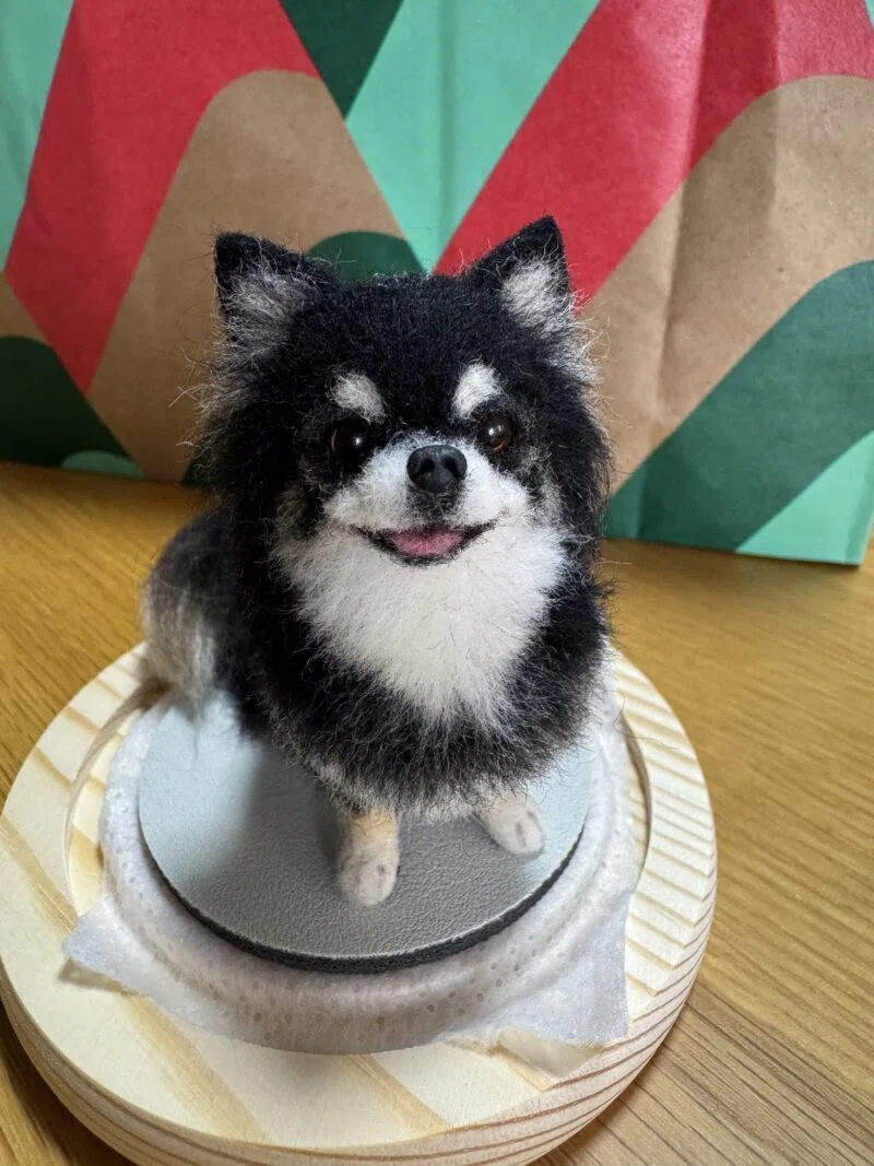 本物ではありません。羊毛フェルト作品です。｜チョコまろ