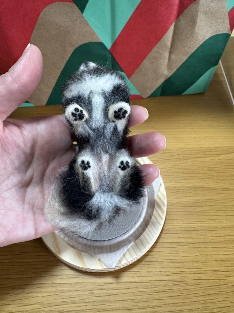 本物ではありません。羊毛フェルト作品です。｜チョコまろ