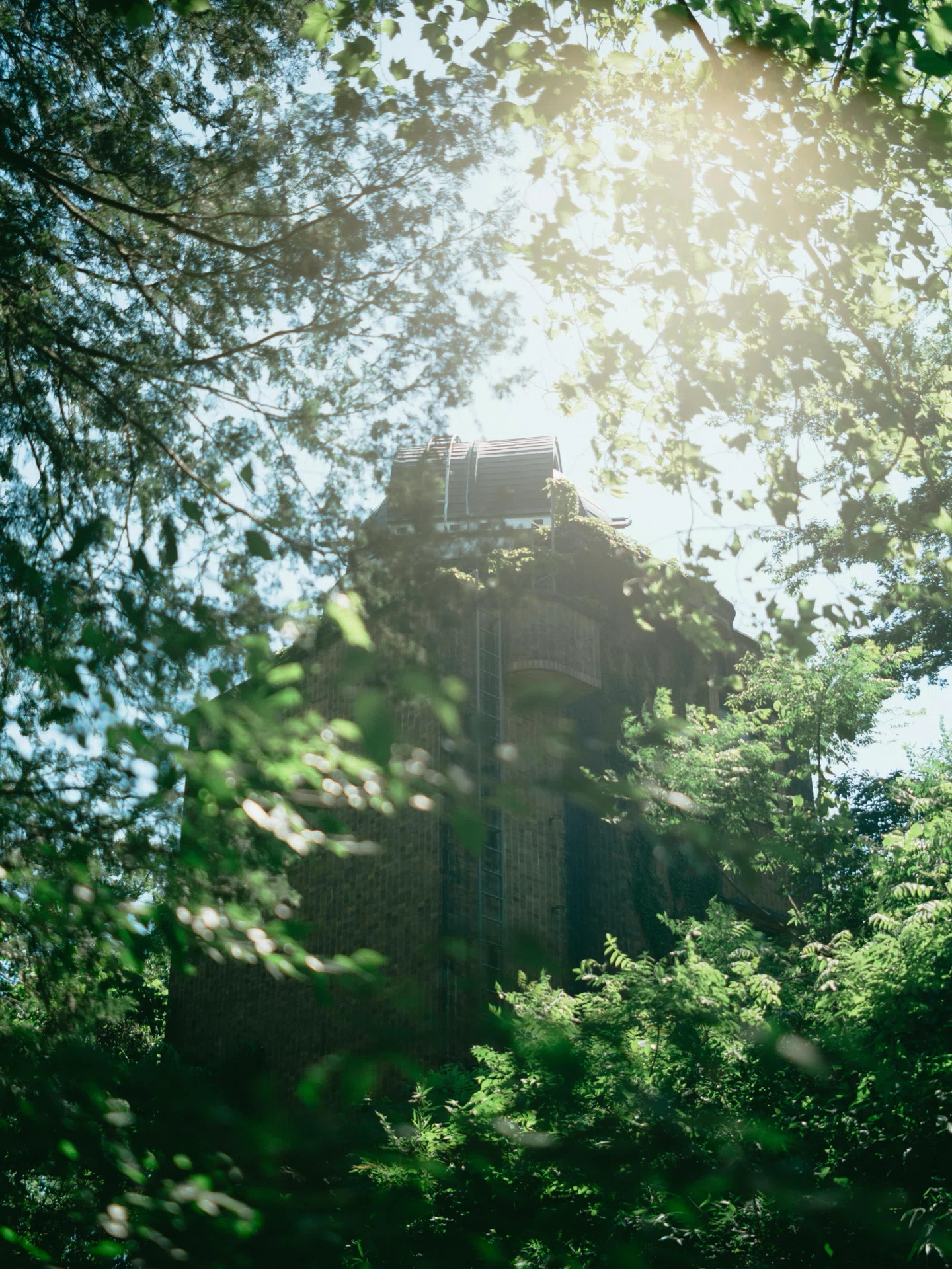 GFXとPentax67 75mm F2.8 AL｜Travelpics