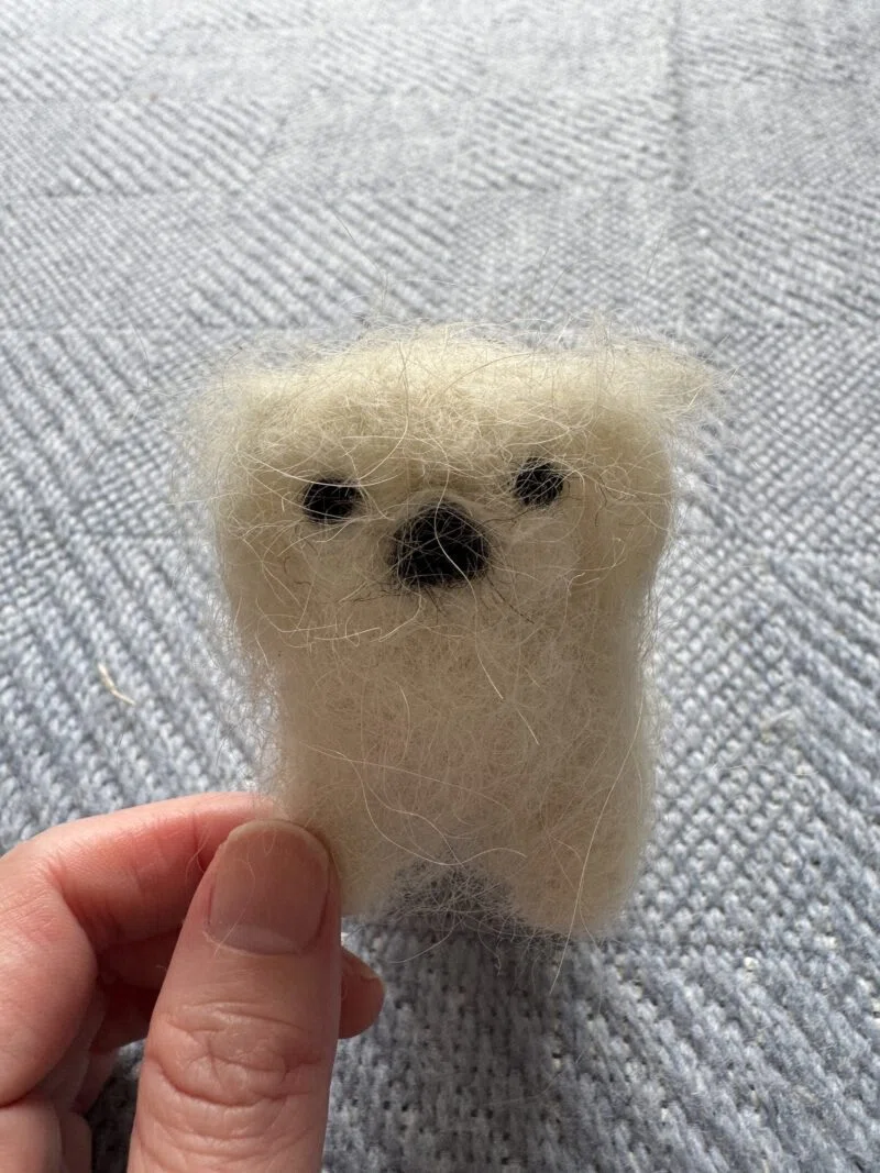 本物ではありません。羊毛フェルト作品です。｜チョコまろ