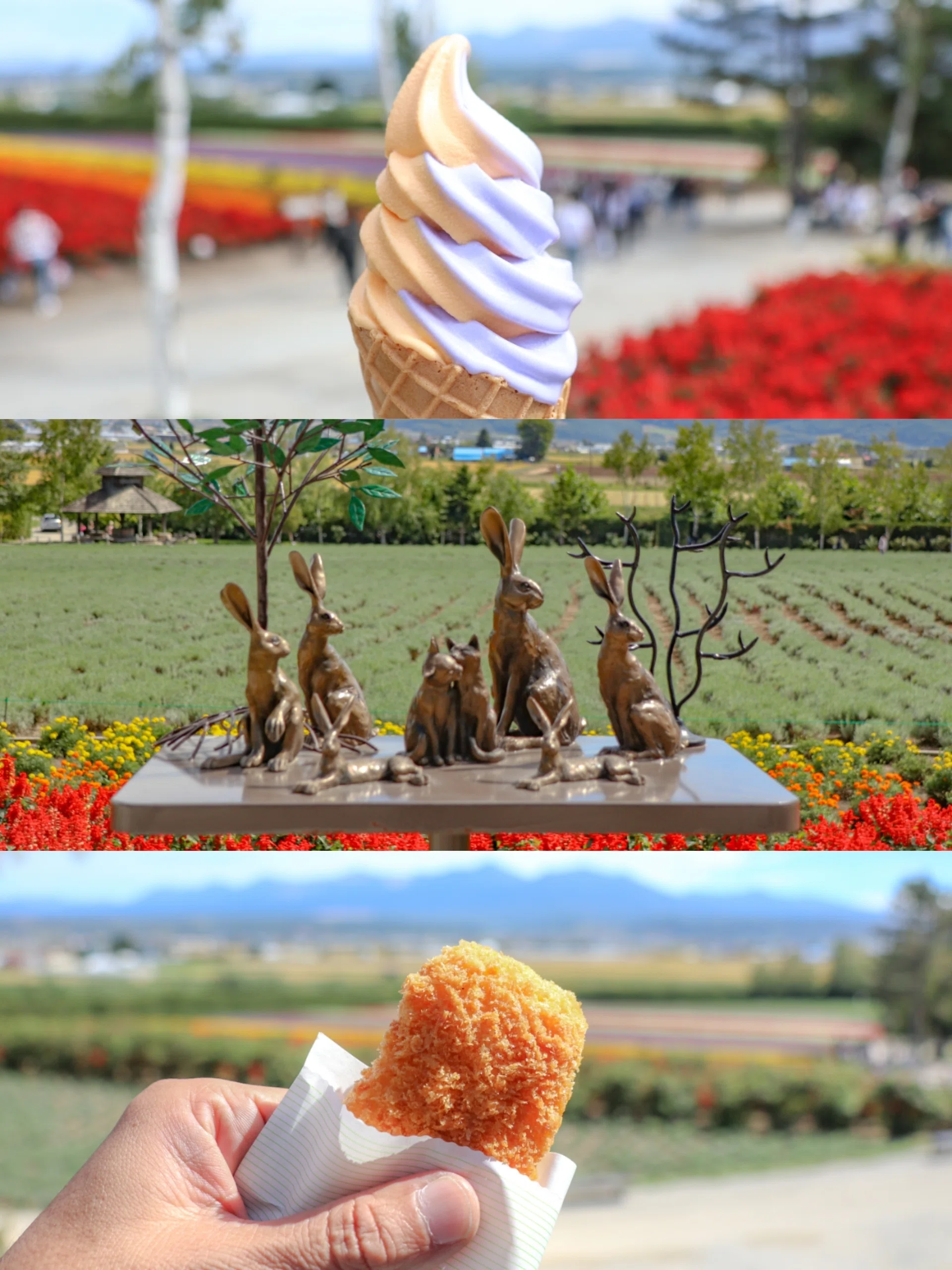 写真日記】北海道の旅 後編『富良野・美瑛』｜mofu | カメラと一緒に