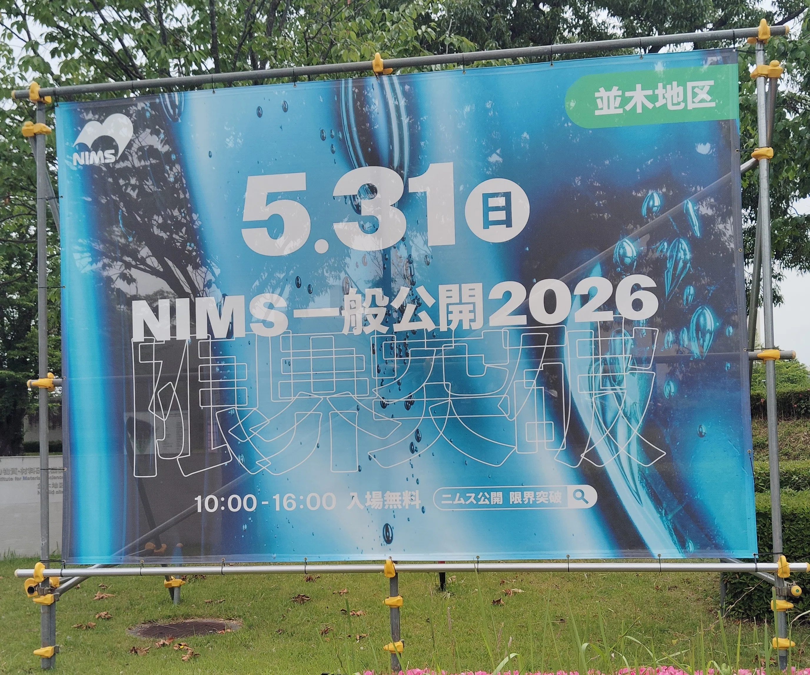 タマムシシートが欲しい！│NIMS突撃編｜雨宿