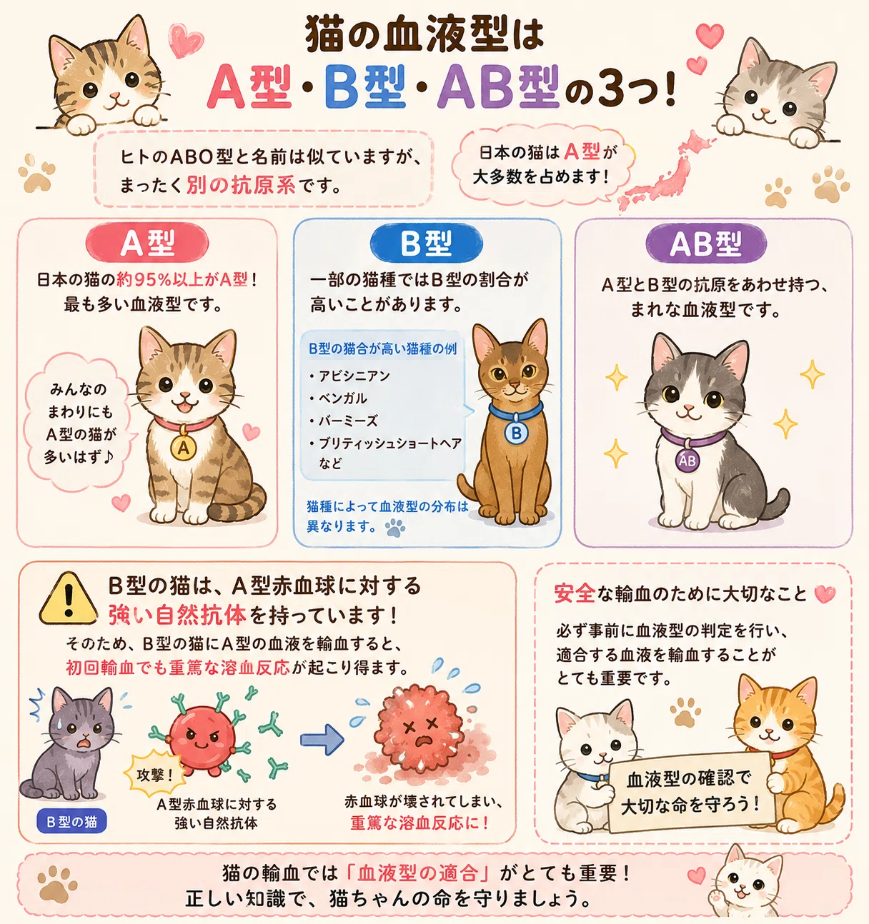 犬や猫にも「血液型」と「輸血」がある― 動物の輸血医療とヒト輸血の