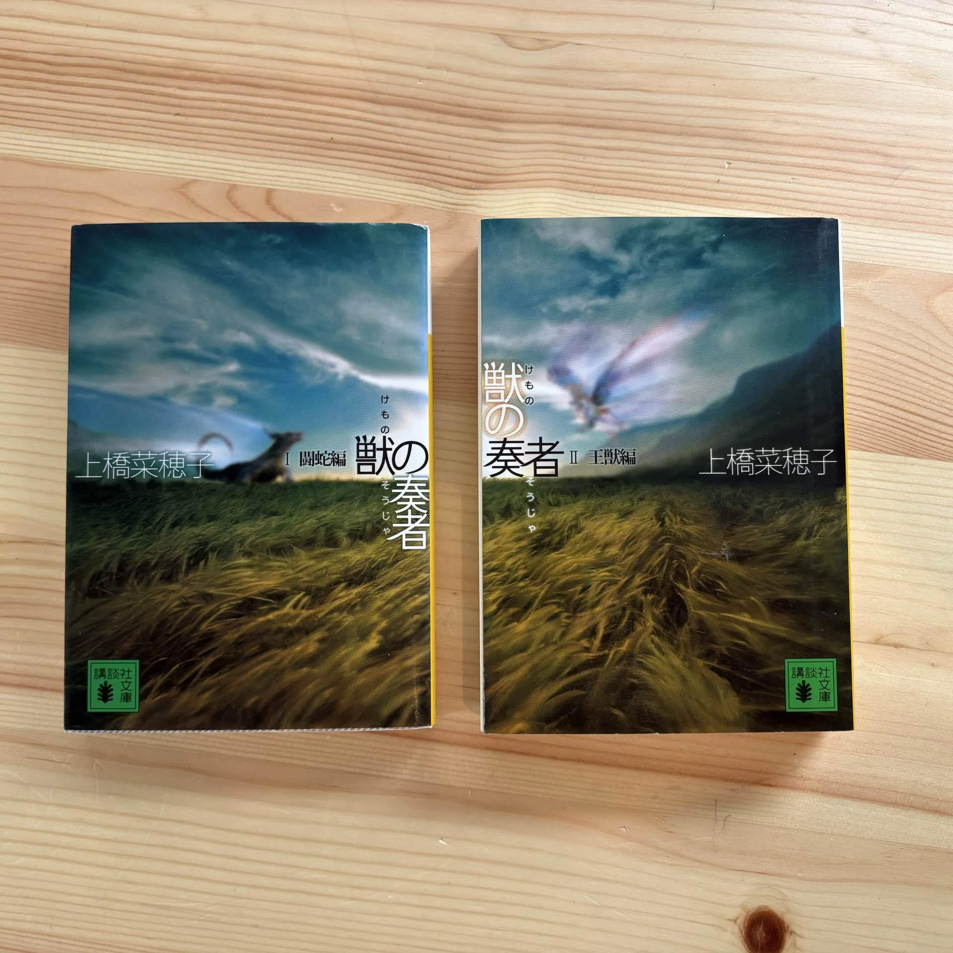 読み終えた後の余韻が凄すぎる。上橋菜穂子作品について。｜桜田千尋