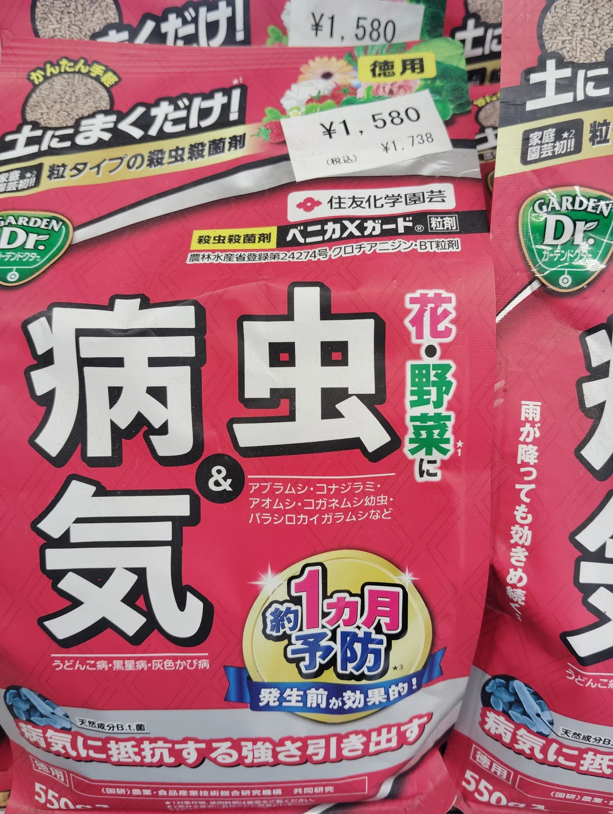 農家の試行錯誤、自給自足のスイカ🍉作り、R8、6月3日|農家の試行錯誤、三好農園