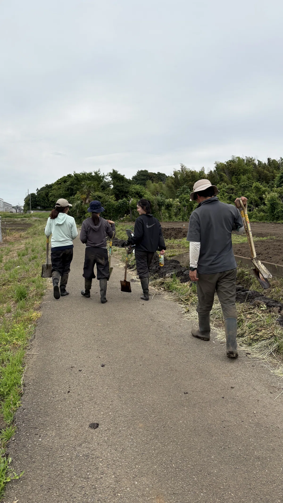 年に一度の水路掃除｜打戻の地域と向き合った、水のはなし｜慶應SFC オコメンプロジェクト