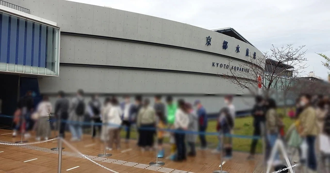 京都 水族館 レビュー