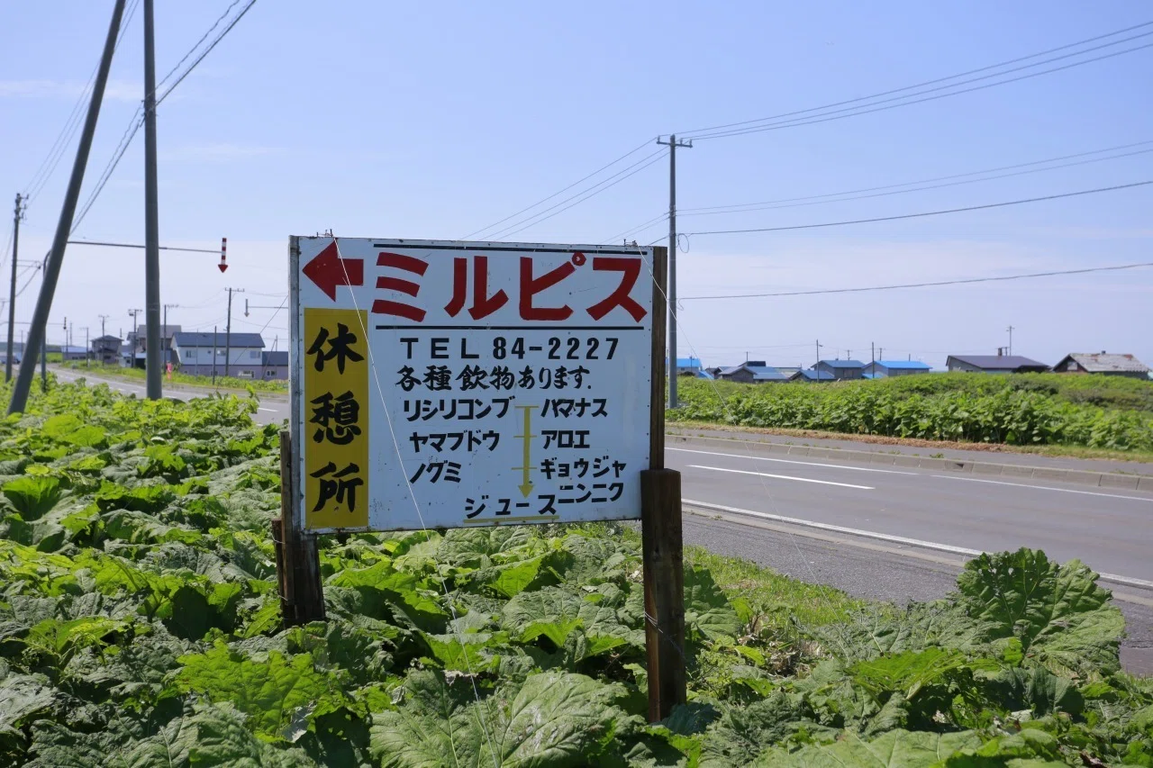 さいはて自家製、利尻の乳酸飲料「ミルピス」｜高原淳 | 十勝・帯広の
