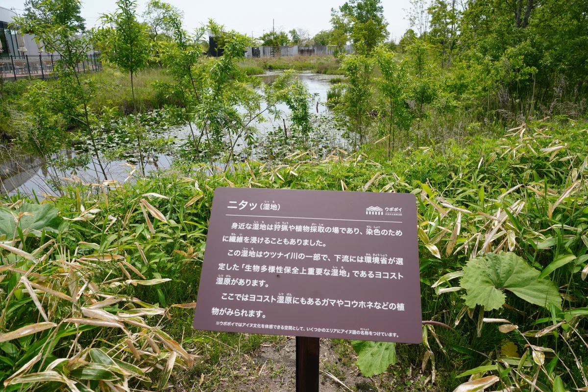 The Etymology of Nitamai and Its Relationship with the Ainu Language｜宍戸俊悟