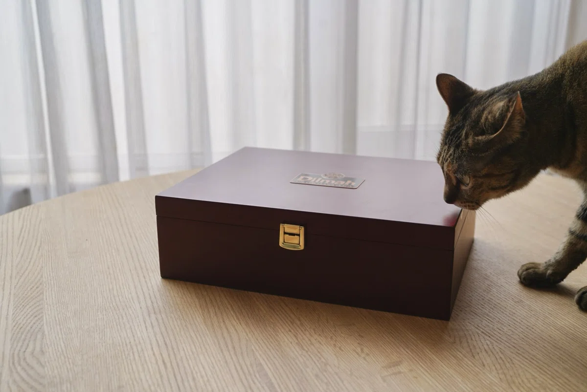 箱と猫