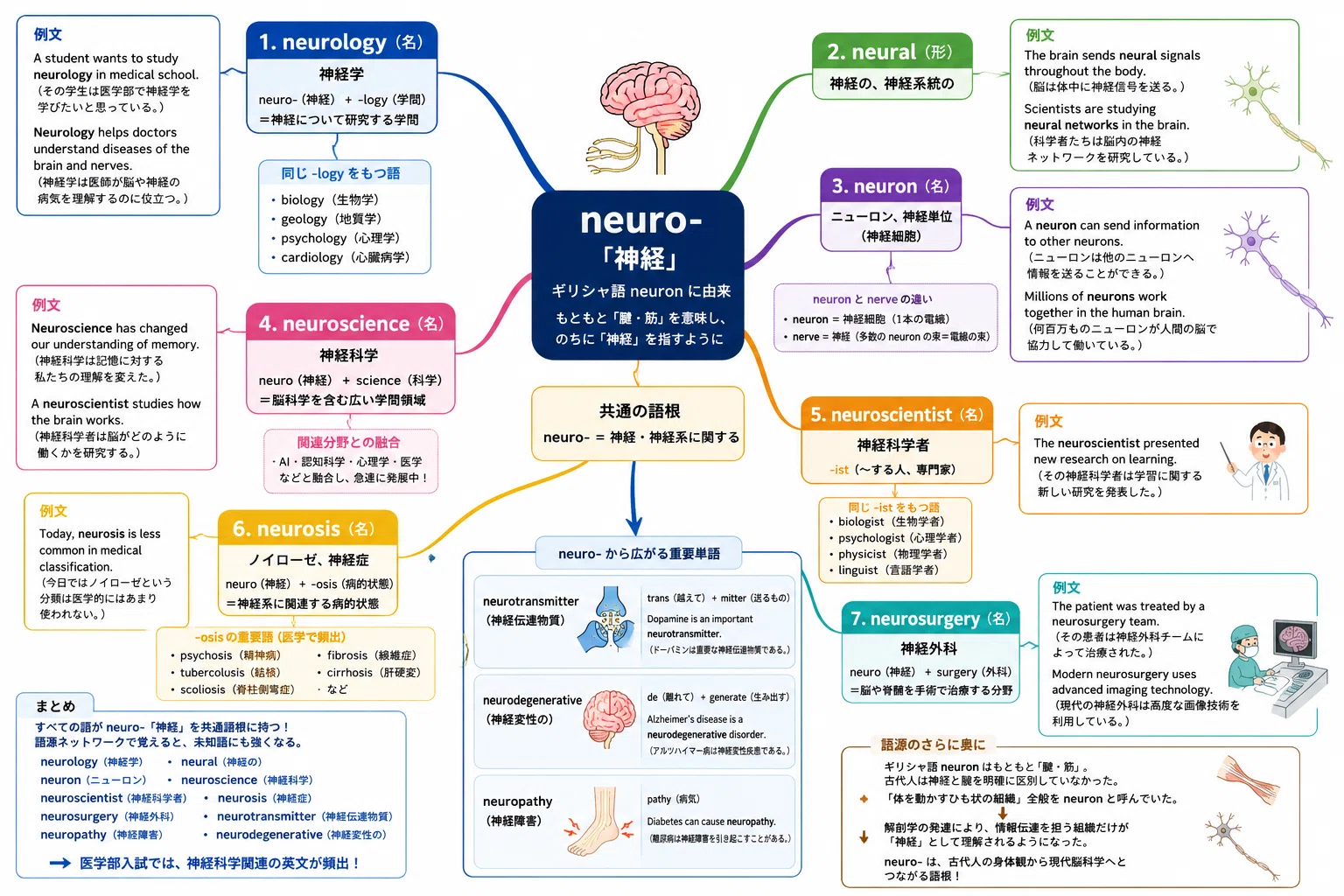 neurology はなぜ「神経学」なのか― neuro-「神経」から広がる英単語の