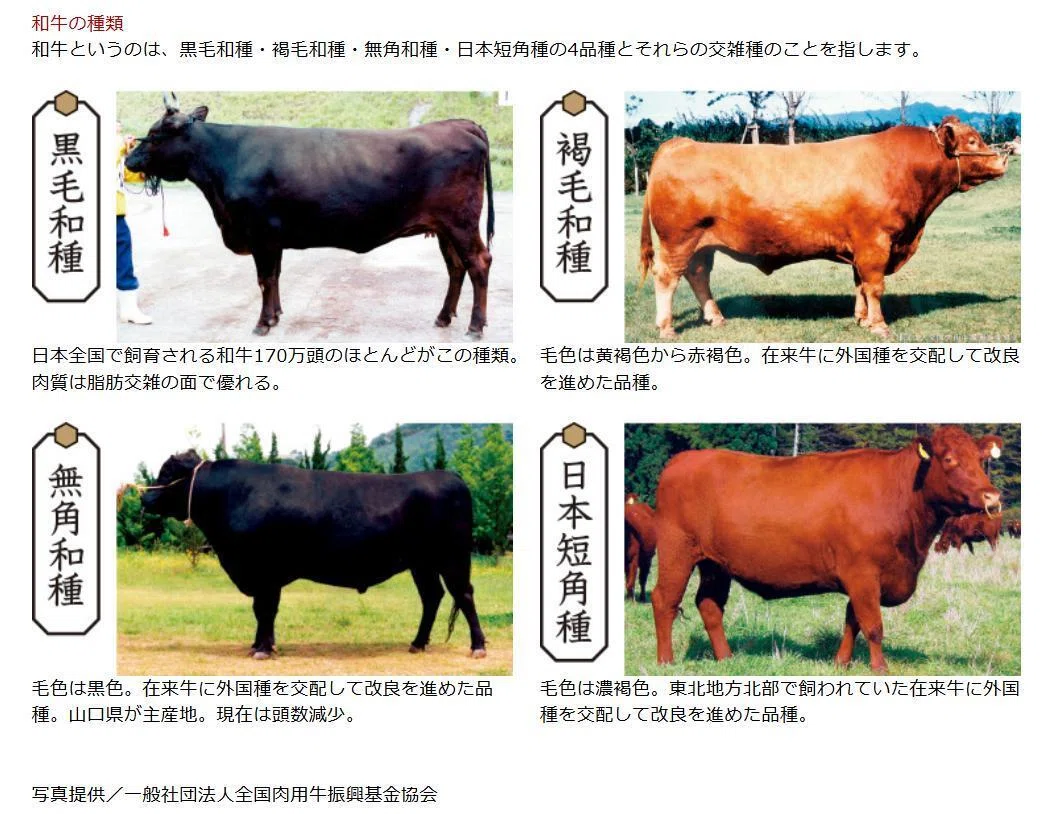 和牛 種類