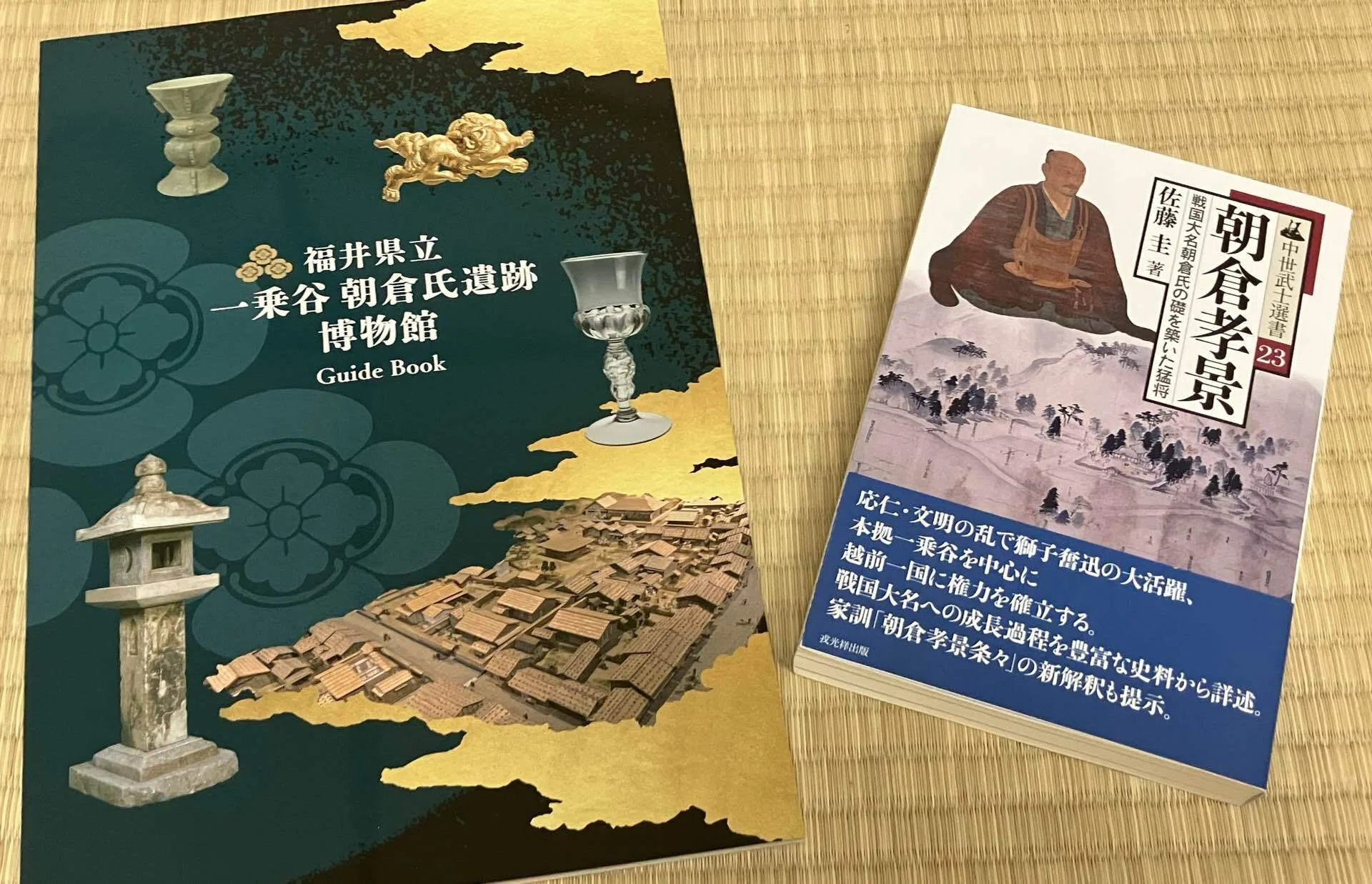 一乗谷城（福井県福井市／日本100名城）｜川崎史英