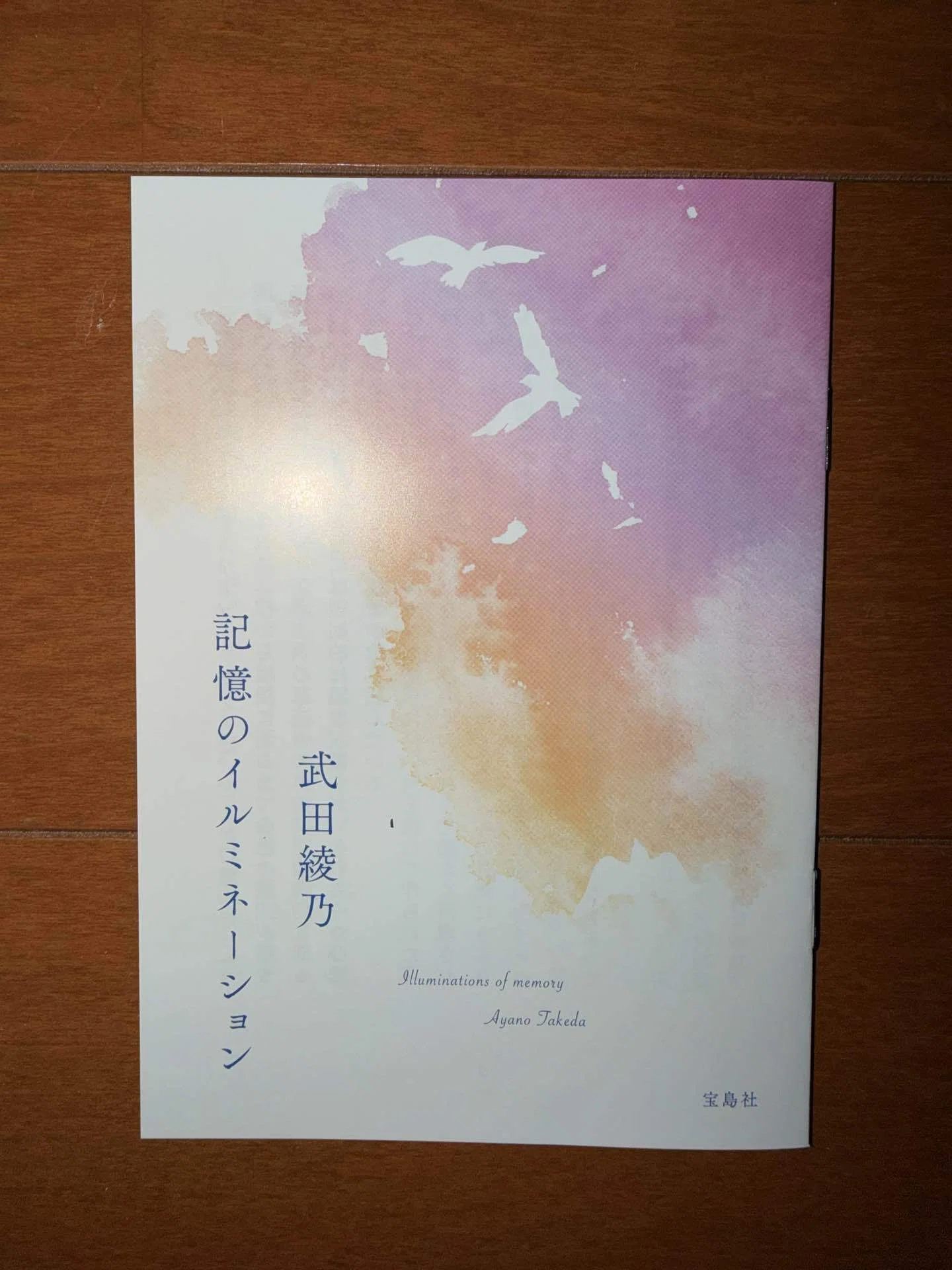 飛び立つ君の背を見上げる (宝島社文庫)』武田 綾乃｜ダイスケ