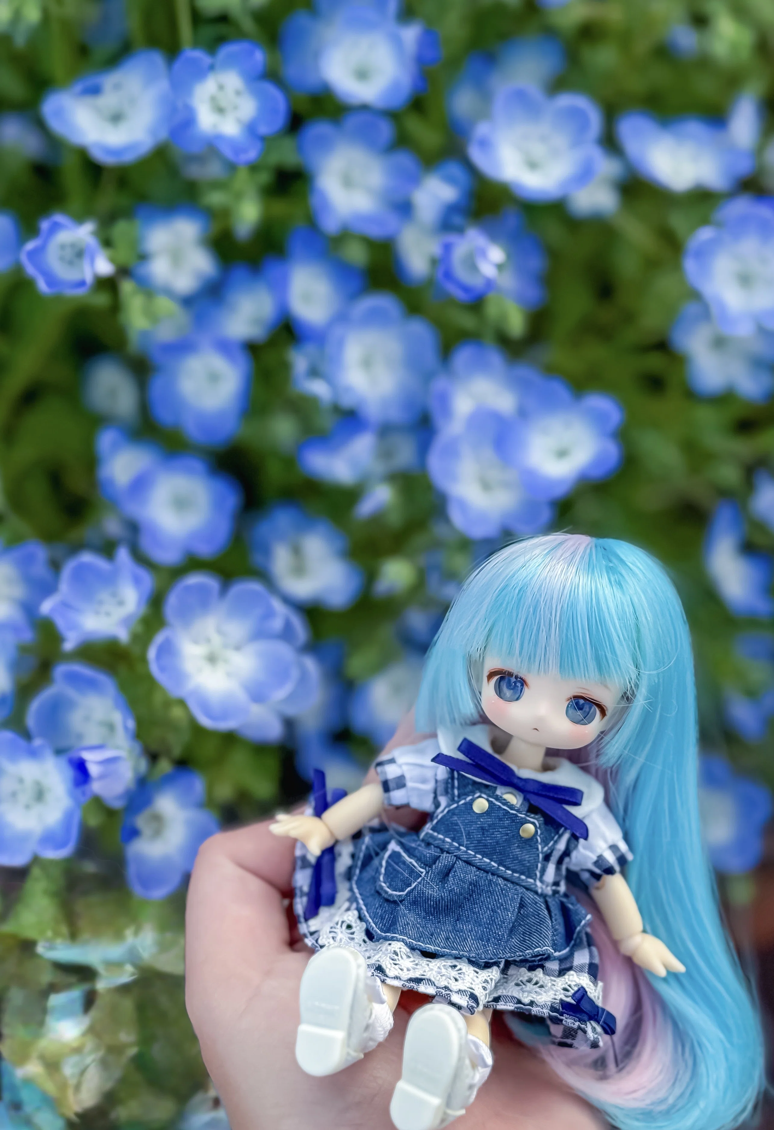 近況報告〜ドールオーナー1周年迎えたり、新しいドールが増えていたり
